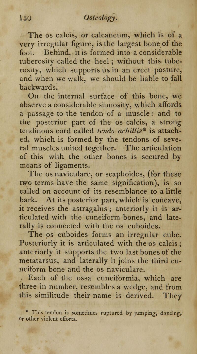 The os calcis, or calcaneum, which is of a very irregular figure, is the largest bone of the foot. Behind, it is formed into a considerable tuberosity called the heel; without this- tube- rosity, which supports us in an erect posture, and when we walk, we should be liable to fall backwards. On the internal surface of this bone, we observe a considerable sinuosity, which affords a passage to the tendon of a muscle: and to the posterior part of the os calcis, a strong tendinous cord called tendo achillis* is attach- ed, which is formed by the tendons of seve- ral muscles united together. The articulation of this with the other bones is secured by means of ligaments. The os naviculare, or scaphoides, (for these two terms have the same signification), is so called on account of its resemblance to a little bark. At its posterior part, which is concave, it receives the astragalus ; anteriorly it is ar- ticulated with the cuneiform bones, and late- rally is connected with the os cuboides. The os cuboides forms an irregular cube. Posteriorly it is articulated with the os calcis; anteriorly it supports the two last bones of the metatarsus, and laterally it joins the third cu- neiform bone and the os naviculare. f Each of the ossa cuneiformia, which are three in number, resembles a wedge, and from this similitude their name is derived. They * This tendon is sometimes ruptured by jumping, dancing, or other violent efforts.