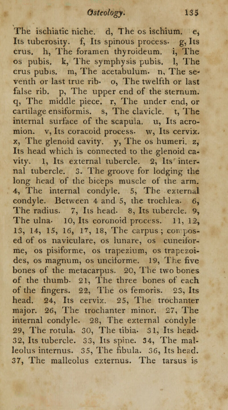 The ischiatic niche, d, The os ischium, e, Its tuberosity, f, Its spinous process- g, Its crus. h, The foramen thyroideum. i, The os pubis, k, The symphysis pubis. 1, The crus pubis, m, The acetabulum, n, The se- venth or last true rib- o, The twelfth or last false rib. p, The upper end of the sternum, q, The middle piece, r, The under end, or cartilage ensiformis. s, The clavicle, t, The internal surface of the scapula, u, Its acro- mion, v, Its coracoid process- w, Its cervix. x, The glenoid cavity, y, The os humeri, z, Its head which is connected to the glenoid ca- vity. 1, Its external tubercle. 2, Itsr inter- nal tubercle. 3. The groove for lodging the long head of the biceps muscle of the arm. 4, The internal condyle. 5, The external condyle. Between 4 and 5, the trochlea. 6, The radius. 7, Its head- 8, Its tubercle. 9, The ulna- 10, Its coronoid process. 11, 12, 13, 14, 15, 16, 1^, 18, The carpus; compos- ed of os naviculare, os lunare, os cuneifor- me, os pisiforme, os trapezium, os trapezoi- des, os magnum, os unciforme. 19, The five bones of the metacarpus. 20, The two bones of the thumb. 21, The three bones of each of the fingers. 22, The os femoris. 23, Its head. 24, Its cervix. 25, The trochanter major. 26, The trochanter minor. 27, The internal condyle. 28, The external condyle 29, The rotula. 30, The tibia. 31, Its head- 32, Its tubercle. 33, Its spine. 34, The mal- leolus internus. 35, The fibula. 36, Its head. 37y The malleolus externus. The tarsus i§