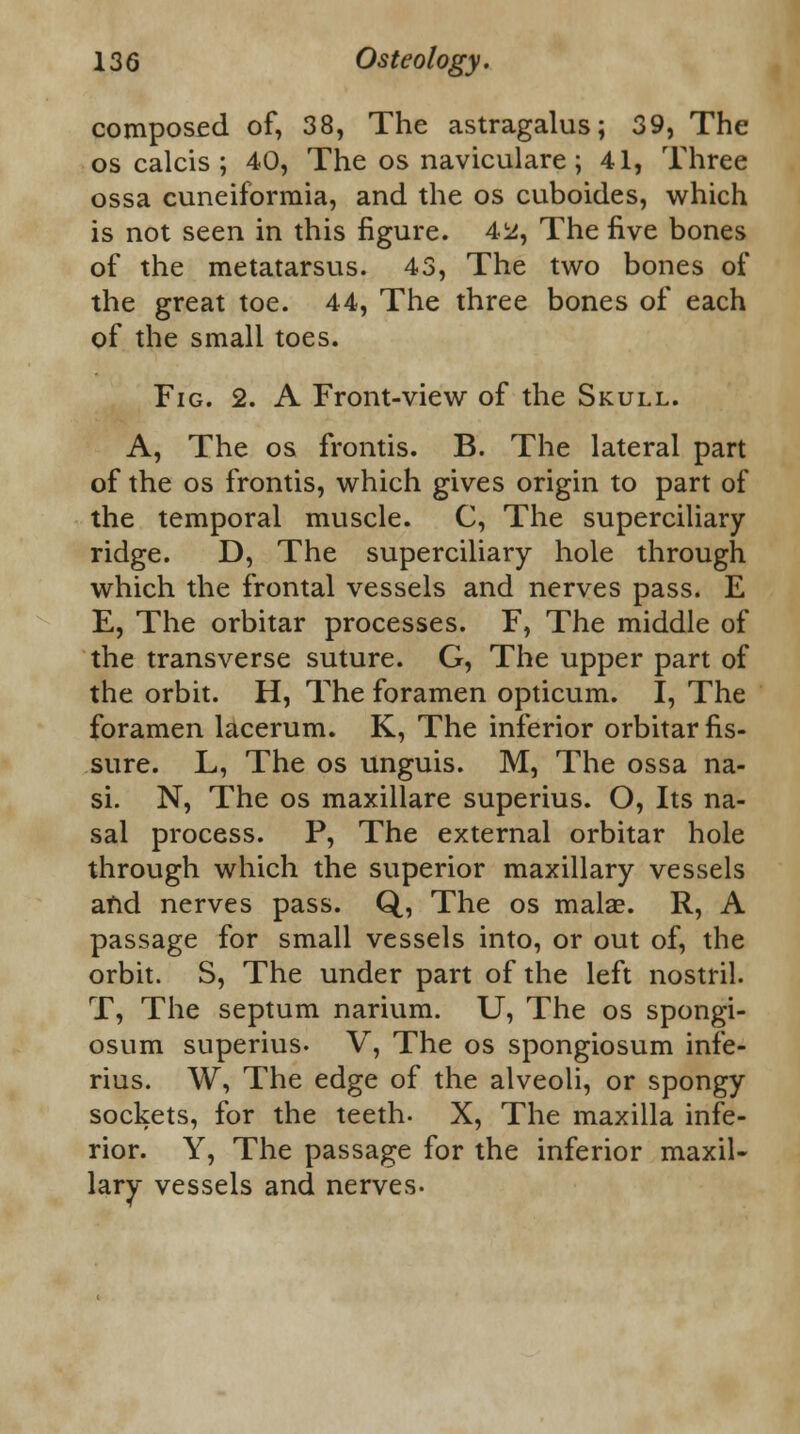 composed of, 38, The astragalus; 39, The os calcis ; 40, The os naviculare; 41, Three ossa cuneiformia, and the os cuboides, which is not seen in this figure. 4^, The five bones of the metatarsus. 43, The two bones of the great toe. 44, The three bones of each of the small toes. Fig. 2. A Front-view of the Skull. A, The os frontis. B. The lateral part of the os frontis, which gives origin to part of the temporal muscle. C, The superciliary- ridge. D, The superciliary hole through which the frontal vessels and nerves pass. E E, The orbitar processes. F, The middle of the transverse suture. G, The upper part of the orbit. H, The foramen opticum. I, The foramen lacerum. K, The inferior orbitar fis- sure. L, The os unguis. M, The ossa na- si. N, The os maxillare superius. O, Its na- sal process. P, The external orbitar hole through which the superior maxillary vessels and nerves pass. Q, The os malae. R, A passage for small vessels into, or out of, the orbit. S, The under part of the left nostril. T, The septum narium. U, The os spongi- osum superius. V, The os spongiosum infe- rius. W, The edge of the alveoli, or spongy sockets, for the teeth- X, The maxilla infe- rior. Y, The passage for the inferior maxil- lary vessels and nerves.