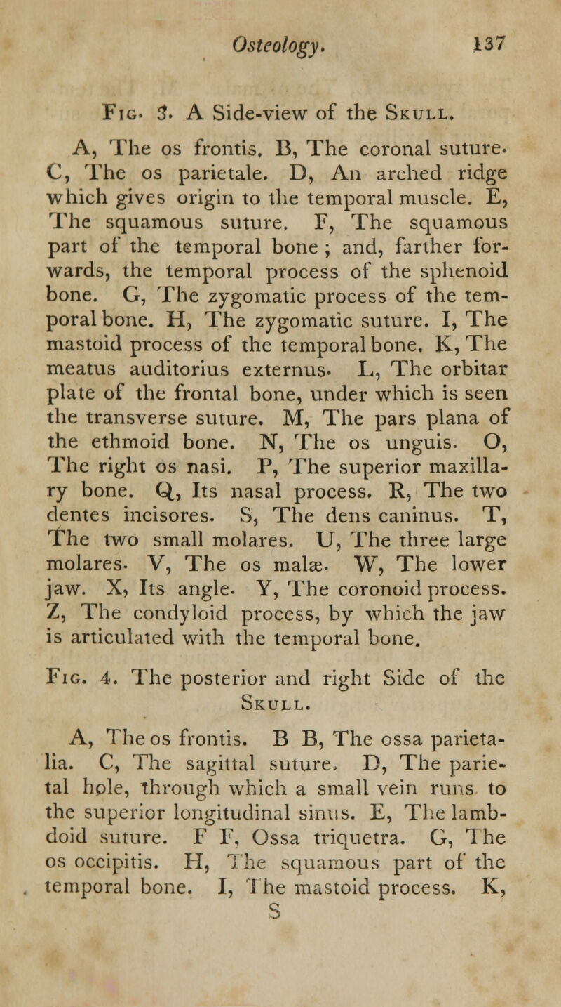 Fig. 3. A Side-view of the Skull, A, The os frontis, B, The coronal suture. C, The os parietale. D, An arched ridge which gives origin to the temporal muscle. E, The squamous suture, F, The squamous part of the temporal bone ; and, farther for- wards, the temporal process of the sphenoid bone. G, The zygomatic process of the tem- poral bone. H, The zygomatic suture. I, The mastoid process of the temporal bone. K, The meatus auditorius externus. L, The orbitar plate of the frontal bone, under which is seen the transverse suture. M, The pars plana of the ethmoid bone. N, The os unguis. O, The right os nasi. P, The superior maxilla- ry bone. Q, Its nasal process. R, The two dentes incisores. S, The dens caninus. T, The two small molares. U, The three large molares- V, The os malas. W, The lower jaw. X, Its angle. Y, The coronoid process. Z, The condyloid process, by which the jaw is articulated with the temporal bone. Fig. 4. The posterior and right Side of the Skull. A, The os frontis. B B, The ossa parieta- lia. C, The sagittal suture, D, The parie- tal hole, through which a small vein runs to the superior longitudinal sinus. E, The lamb- doid suture. F F, Ossa triquetra. G, The os occipitis. H, The squamous part of the temporal bone. I, The mastoid process. K, S