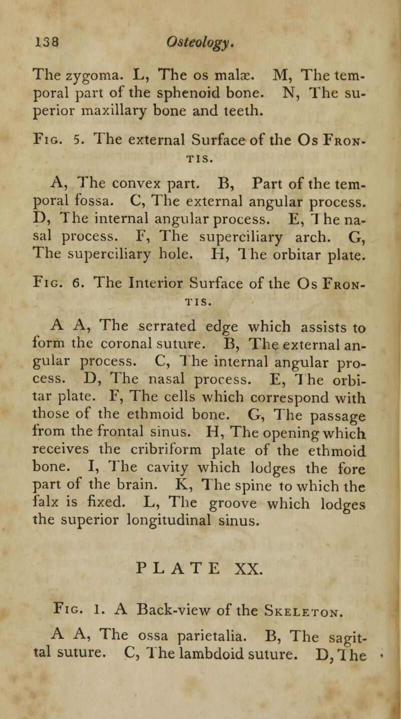 The zygoma. L, The os malae. M, The tem- poral part of the sphenoid bone. N, The su- perior maxillary bone and teeth. Fig. 5. The external Surface of the Os Fron- tis. A, The convex part. B, Part of the tem- poral fossa. C, The external angular process. D, The internal angular process. E, 1 he na- sal process. F, The superciliary arch. G, The superciliary hole. H, The orbitar plate. Fig. 6. The Interior Surface of the Os Fron- tis. A A, The serrated edge which assists to form the coronal suture. B, The external an- gular process. C, The internal angular pro- cess. D, The nasal process. E, 1 he orbi- tar plate. F, The cells which correspond with those of the ethmoid bone. G, The passage from the frontal sinus. H, The opening which receives the cribriform plate of the ethmoid bone. I, The cavity which lodges the fore part of the brain. K, The spine to which the falx is fixed. L, The groove which lodges the superior longitudinal sinus. PLATE XX. Fig. 1. A Back-view of the Skeleton. A A, The ossa parietalia. B, The sagit- tal suture. C, The lambdoid suture. D, 1 he