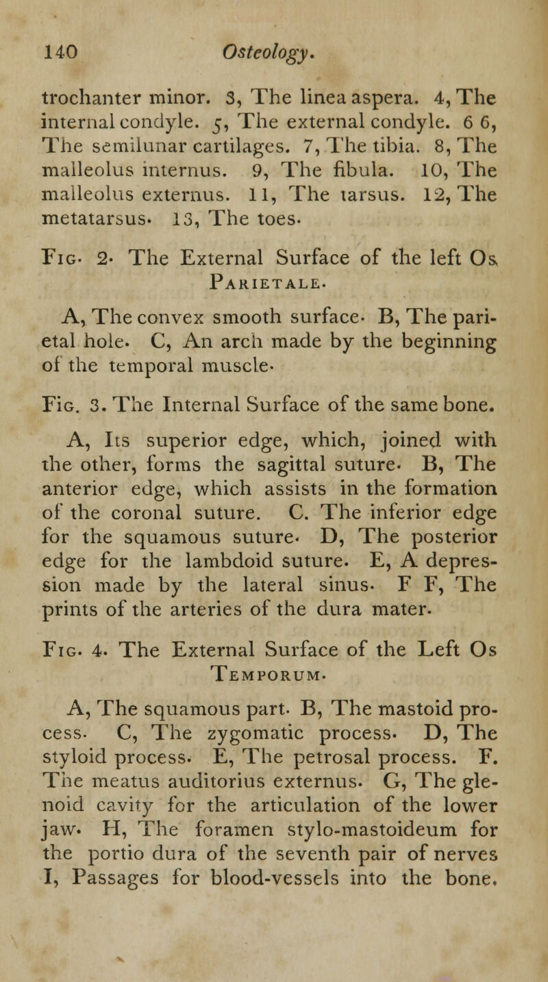 trochanter minor. 3, The linea aspera. 4, The internal condyle. 5, The external condyle. 6 6, The semilunar cartilages. 7, The tibia. 8, The malleolus internus. 9, The fibula. 10, The malleolus externus. 11, The tarsus. 12, The metatarsus. 13, The toes- Fig- 2« The External Surface of the left Os Parietale. A, The convex smooth surface- B, The pari- etal hole. C, An arch made by the beginning of the temporal muscle. Fie 3. The Internal Surface of the same bone. A, Its superior edge, which, joined with the other, forms the sagittal suture- B, The anterior edge, which assists in the formation of the coronal suture. C. The inferior edge for the squamous suture. D, The posterior edge for the lambdoid suture. E, A depres- sion made by the lateral sinus- F F, The prints of the arteries of the dura mater. Fig. 4. The External Surface of the Left Os Temporum- A, The squamous part- B, The mastoid pro- cess. C, The zygomatic process. D, The styloid process. E, The petrosal process. F. The meatus auditorius externus. G, The gle- noid cavity for the articulation of the lower jaw. H, The foramen stylo-mastoideum for the portio dura of the seventh pair of nerves I, Passages for blood-vessels into the bone.