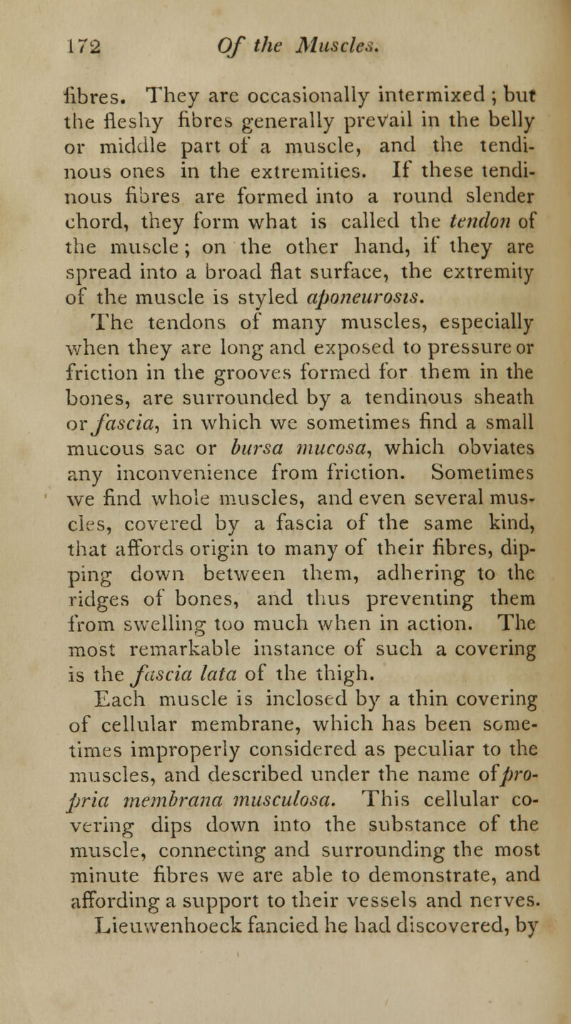 iibres. They arc occasionally intermixed ; but the fleshy fibres generally prevail in the belly or middle part of a muscle, and the tendi- nous ones in the extremities. If these tendi- nous fibres are formed into a round slender chord, they form what is called the tendon of the muscle; on the other hand, if they are spread into a broad flat surface, the extremity of the muscle is styled aponeurosis. The tendons of many muscles, especially when they are long and exposed to pressure or friction in the grooves formed for them in the bones, are surrounded by a tendinous sheath or fascia, in which wc sometimes find a small mucous sac or bursa mucosa, which obviates a,ny inconvenience from friction. Sometimes we find whole muscles, and even several mus* cles, covered by a fascia of the same kind, that affords origin to many of their fibres, dip- ping down between them, adhering to the ridges of bones, and thus preventing them from swelling too much when in action. The most remarkable instance of such a covering is the fascia lata of the thigh. Each muscle is inclosed by a thin covering of cellular membrane, which has been some- times improperly considered as peculiar to the muscles, and described under the name of pro- pria membrana musculosa. This cellular co- vering dips down into the substance of the muscle, connecting and surrounding the most minute fibres we are able to demonstrate, and affording a support to their vessels and nerves. Lieuwenhoeck fancied he had discovered, by