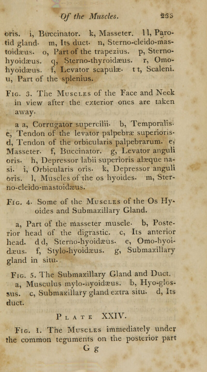 oris, i, Buccinator, k, Masseter. 11, Paro- tid gland- m, Its duct- n, Sterno-cleido-mas- tokheus. o, Part of the trapezius, p, Sterno- hyoidoeus. q, Sterno-thyroidaeus. r, Omo- hyoidacus. F, Levator scapube- 11, Scaleni. u, Part of the splenius. Fig. 3. The Muscles of the Face and Neck in view after the exterior ones are taken away. a a, Corrugator supercilik b, Temporalis- c, Tendon of the levator palpebral superioris- d, Tendon of the orbicularis palpebrarum, e, Masseter. f, Buccinator, g, Levator anguli oris, h, Depressor labii superioris alseque na- si, i, Orbicularis oris- k, Depressor anguli Oris. 1, Muscles of the os hyoides. m, Ster- no-cleido-mastoidceus. Fig. 4- Some of the Muscles of the Os Hy- oides and Submaxillary Gland. a, Part of the masseter muscle- b, Poste- rior head of the digrastic. c, Its anterior head, d d, Sterno-hyoidaeus- e, Omo-hyoi- daeus. f, Stylo-hyoidseus. g, Submaxillary gland in situ. Fig. 5. The Submaxillary Gland and Duct. a, Musculus mylo-uyoidaeus. b, Hyo-glos- sus. c, Submaxillary gland extra situ, d, Its duct. Plate XXIV. Fig. 1. The Muscles immediately under the common teguments on the posterior part O g