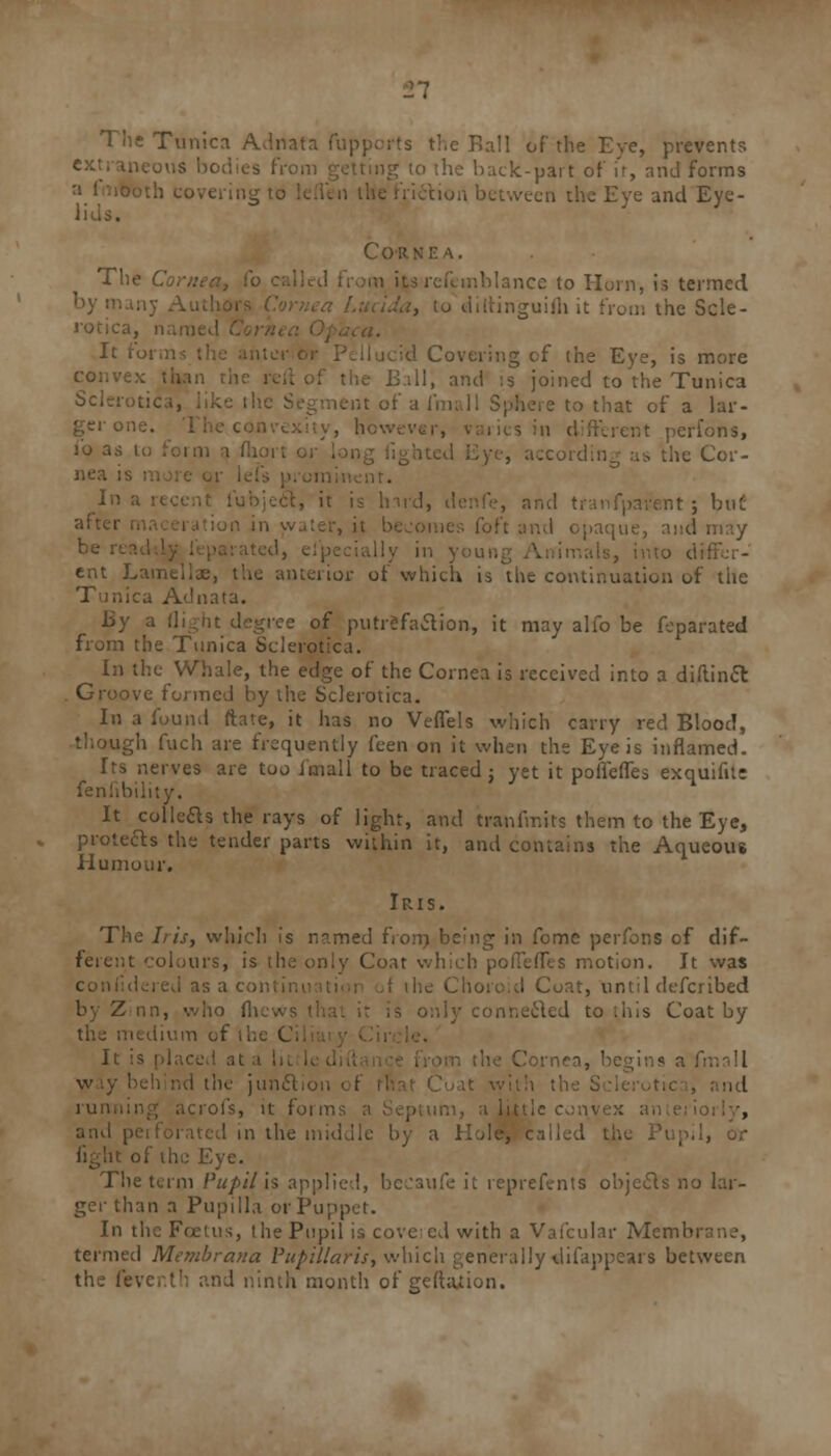 The Tnnica Adnata fupports the Ball of the Eye, prevents neous bodii to the back-part of ir, and forms i between the Eye and Eye- lids. Cornea. The Cor,: rice to Horn, is termed guifli it from the Sele- ct forms . Covering of the Eye, is more II, and is joined to the Tunica Sclerotica, like the Segment of a fmali Sphere to that of a lar- nt perfons, lb as to form a I ■ , according as the Cor- nea is In a recent lubjecl, it is hai irent ; but it becomes foft and opaque, and may ent Lamellae, the anterior of which is the continuation of the Tunica Adnata. By a flight degree of putrefaction, it may alfo be feparated from the Tunica Sclerotica. In the Whale, the edge of the Cornea is received into a diftinct Groove formed by the Sclerotica. In a found ftate, it has no Veflels which carry red Blood, though fuch are frequently feen on it when the Eye is inflamed. Its nerves are too imall to be traced j yet it pofleffes exquifite fenfibility. It col lefts the rays of light, and tranfmits them to the Eye, protefts the tender parts within it, and contains the Aqueous Humour. Iris. The Iris, which is named from being in fome perfons of dif- ferent colours, is the only Coat which pofTefles motion. It was ! Coat, until defcribed by Z nn, who mews , to this Coat by the medium of the Ci It :s placed at Cornea, begi w ty beh nd the junci running acrofs, it forms , a little c and | He by a Hole, called the of the Eye. The term Pupil is applied, becaufe it reprefents objecls no lar- ger than a Pupilla or Puppet. In the Foetus, the Pupil is cove: ed with a Vafcular Memo termed Membrana Papillaris, which generally tlifappears between the fever.Ml and ninth month of geftauion.