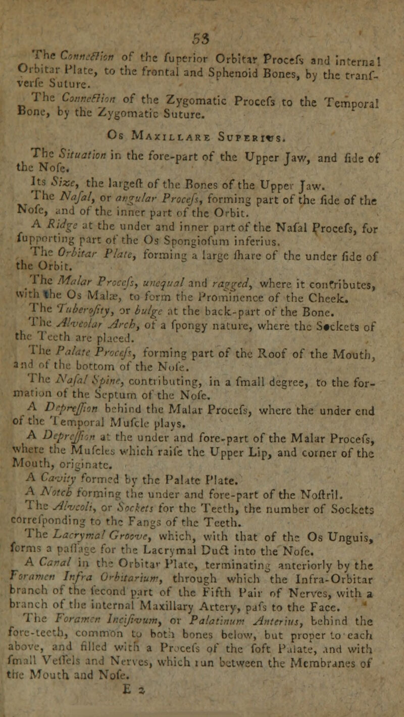 The Conneilton of the fuperior Orbitar Procefs and internal Orbitar Plate, to the frontal and Sphenoid Bones, by the tranf- verfc Suture. The Connetlion of the Zygomatic Procefs to the Temporal Bone, by the Zygomatic Suture. Os Maxillare Superivs. The Situation in the fore-part of the Upper Jaw, and fide of the Nofe. Its Size, the laigeft of the Bones of the Upper Jaw. ^ The Nafal, or angular Procefs, forming part of the fide of the Nofe, and of the inner part of the Orbit. A Ridge at the under and inner part of the Nafal Procefs, for Supporting part of the Os Spongiofum inferius. The Orbitar Plate, forming a large fliare of the under fide of the Orbit. _ 1 he Malar Proccjs, unequal and ragged, where it contributes, Ihe Os Mala, to form the Prominence of the Cheek. herof.ty, or bulge at the back-part of the Bone. The Alveolar Arch, of a fpongy nature, where the Sockets of the Teeth are placed. The P , forming part of the Roof of the Mouth, the bottom of the Nofe. fine, contributing, in a fmall degree, to the for- mation of the Septum of the Nofe. A Deprejion behind the Malar Procefs, where the under end of the Temporal Mufcle plays. A Deprejpon a', the under and fore-part of the Malar Procefs, where the Mufcles which raife the Upper Lip, and corner of the Mouth, originate. A Cavity formed by the Palate Plate. A Notch forming the under and fore-part of the Noftril. The Alveoli, or Sockets for the Teeth, the number of Sockets correfponding to the Fangs of the Teeth. The Lacryrr.a! Groove, which, with that of the Os Unguis, forms a paflage for the Lacrymal Duct into the Nofe. A Canal in the Orbitar Plate, terminating anteriorly by the Foramen Infra Orbiturium, through which the Infra-Orbitar branch of the fecond part of the Fifth Pair of Nerves, with a branch of the internal Maxillary Artery, pafs to the Face. The Foramen Inclfivum, or Palatinum Arteritis, behind the fore-teeth, common to both bones below, but proper to each above, and filled with a Procefs of the foft Palate, and with fmall Veflels and Nerves, which pan between the Membranes of the Mouth and No!■■. E a