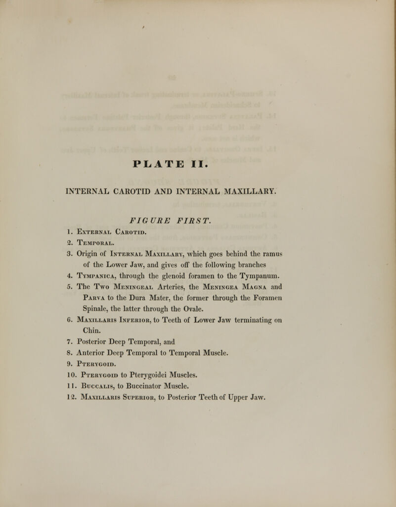 INTERNAL CAROTID AND INTERNAL MAXILLARY. FIGURE FIRST. 1. External, Carotid. 2. Temporal. 3. Origin of Internal Maxillary, which goes behind the ramus of the Lower Jaw, and gives off the following branches 4. Tympanic a, through the glenoid foramen to the Tympanum. 5. The Two Meningeal Arteries, the Meningea Magna and Parva to the Dura Mater, the former through the Foramen Spinale, the latter through the Ovale. 6. Maxillaris Inferior, to Teeth of Lower Jaw terminating on Chin. 7. Posterior Deep Temporal, and 8. Anterior Deep Temporal to Temporal Muscle. 9. Pterygoid. 10. Pterygoid to Pterygoidei Muscles. 11. Buccalis, to Buccinator Muscle. 12. Maxillaris Superior, to Posterior Teeth of Upper Jaw.