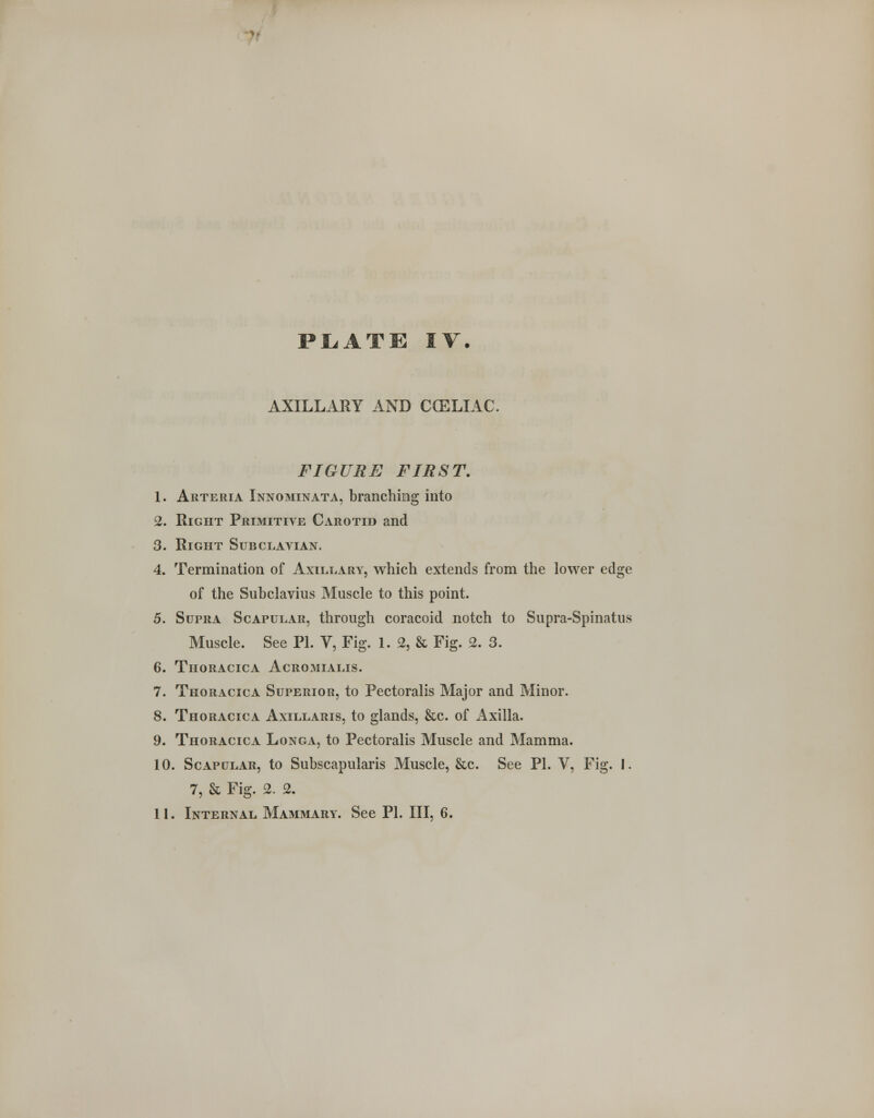 AXILLARY AND CCELIAC. FIGURE FIRST. 1. Arteria Innominata, branching into 2. Right Primitive Carotid and 3. Right Subclavian. 4. Termination of Axillary, which extends from the lower edge of the Subclavius Muscle to this point. 5. Supra Scapular, through coracoid notch to Supra-Spinatus Muscle. See PI. V, Fig. 1. 2, & Fig. 2. 3. 6. TlIORACICA AcROMIALIS. 7. Thoracica Superior, to Pectoralis Major and Minor. 8. Thoracica Axillaris, to glands, &c. of Axilla. 9. Thoracica Longa, to Pectoralis Muscle and Mamma. 10. Scapular, to Subscapularis Muscle, &c. See PI. V, Fig. 1. 7, & Fig. 2. 2.