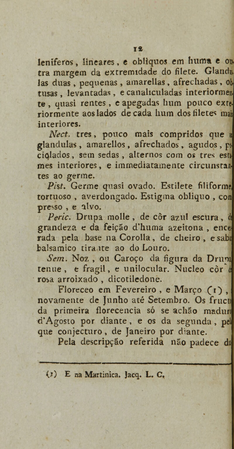 leniferos, lineares, e oblíquos em luima e ou. tra margem da extremidade do filete. Glaiidn. las duas, pequenas , amarellas, afrechadas, ok tusas, levantadas, e canahculadas interiormen. te , quasi rentes, e apegadas hum pouco exte- rior mente aos lados década hum dos filetes maà interiores. Ne et. três, pouco mais compridos que 21 glândulas , amarellos, afrechados, agudos, pe- ciQlados, sem sedas, alternos com os três esca- mes interiores, e imrnediatamente circunstan. tes ao germe. Pist. Germe quasi ovado. Estilete filiforme, tortuoso , averdongado. Estigma obliquo , com presso , e alvo. Peric. Drupa molle , de côr azul escura, & grandeza e da feição d'huma azeitona , encef rada pela base na Corolla, de cheiro , e sabo balsâmico tira ite ao do Louro. Sem. Noz , ou Caroço cia figura da D runa ténue, e frágil, e unilocular. Núcleo cor i rosa arroixado , dicotiledone. Floreceo em Fevereiro , e Março CO » novamente de Junho até Setembro. Os fruco da primeira florecencia só se achão maduro d'Agosto por diante, e os da segunda , pcl que conjecturo, de Janeiro por diante. Pela descripção referida não padece da (j) E na Martinica. Jacq. L. C,