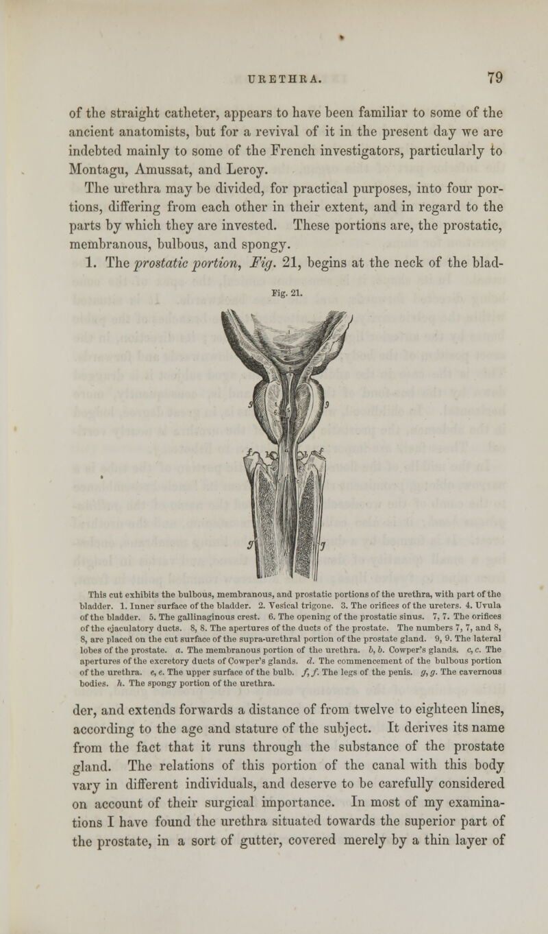 of the straight catheter, appears to have been familiar to some of the ancient anatomists, but for a revival of it in the present day we are indebted mainly to some of the French investigators, particularly to Montagu, Amussat, and Leroy. The urethra may be divided, for practical purposes, into four por- tions, differing from each other in their extent, and in regard to the parts by which they are invested. These portions are, the prostatic, membranous, bulbous, and spongy. 1. The prostatic portion, Fig. 21, begins at the neck of the blad- Fig. 21. This cut exhibits the bulbous, membranous, and prostatic portions of the urethra, with part of the bladder. 1. Inner surface of the bladder. 2. Vesical trigone. 3. The orifices of the ureters. 4. Uvula of the bladder. 5. The gallinaginous crest. 6. The opening of the prostatic sinus. 7, 7. The orifices of the ejaculatory ducts. 8, 8. The apertures of the ducts of the prostate. The numbers 7, 7, and 8, 8, are placed on the cut surface of the supra-urethral portion of the prostate gland. 9, 9. The lateral lobes of the prostate, a. The membranous portion of the urethra, b, b. Cowper's glands, c, c. The apertures of the excretory ducts of Cowper's glands, d. The commencement of the bulbous portion of the urethra, e, e. The upper surface of the bulb. /,/. The legs of the penis. g,g. The cavernous bodies, h. The spongy portion of the urethra. der, and extends forwards a distance of from twelve to eighteen lines, according to the age and stature of the subject. It derives its name from the fact that it runs through the substance of the prostate gland. The relations of this portion of the canal with this body vary in different individuals, and deserve to be carefully considered on account of their surgical importance. In most of my examina- tions I have found the urethra situated towards the superior part of the prostate, in a sort of gutter, covered merely by a thin layer of