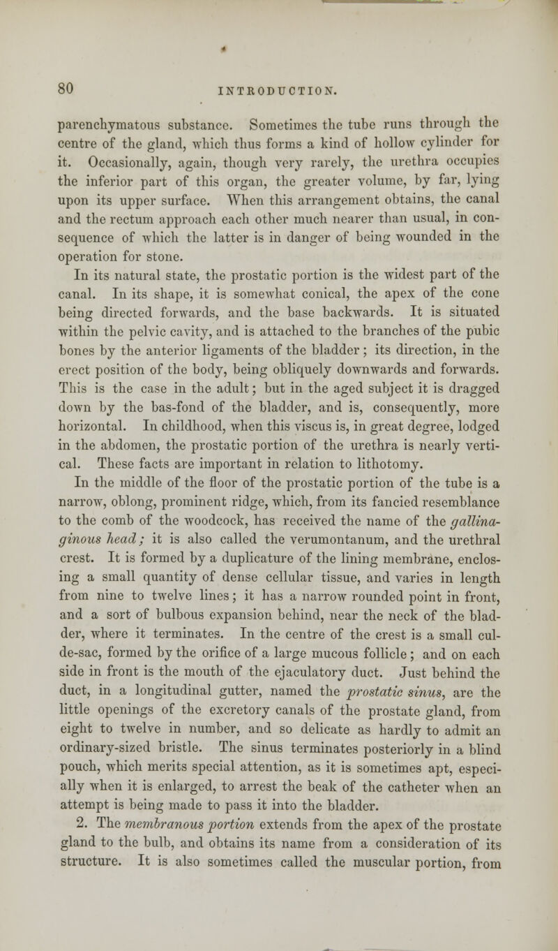 parenchymatous substance. Sometimes the tube runs through the centre of the gland, which thus forms a kind of hollow cylinder for it. Occasionally, again, though very rarely, the urethra occupies the inferior part of this organ, the greater volume, by far, lying upon its upper surface. When this arrangement obtains, the canal and the rectum approach each other much nearer than usual, in con- sequence of which the latter is in danger of being wounded in the operation for stone. In its natural state, the prostatic portion is the widest part of the canal. In its shape, it is somewhat conical, the apex of the cone being directed forwards, and the base backwards. It is situated within the pelvic cavity, and is attached to the branches of the pubic bones by the anterior ligaments of the bladder; its direction, in the erect position of the body, being obliquely downwards and forwards. This is the case in the adult; but in the aged subject it is dragged down by the bas-fond of the bladder, and is, consequently, more horizontal. In childhood, when this viscus is, in great degree, lodged in the abdomen, the prostatic portion of the urethra is nearly verti- cal. These facts are important in relation to lithotomy. In the middle of the floor of the prostatic portion of the tube is a narrow, oblong, prominent ridge, which, from its fancied resemblance to the comb of the woodcock, has received the name of the gallina- ginous head; it is also called the verumontanum, and the urethral crest. It is formed by a duplicature of the lining membrane, enclos- ing a small quantity of dense cellular tissue, and varies in length from nine to twelve lines; it has a narrow rounded point in front, and a sort of bulbous expansion behind, near the neck of the blad- der, where it terminates. In the centre of the crest is a small cul- de-sac, formed by the orifice of a large mucous follicle ; and on each side in front is the mouth of the ejaculatory duct. Just behind the duct, in a longitudinal gutter, named the prostatic sinus, are the little openings of the excretory canals of the prostate gland, from eight to twelve in number, and so delicate as hardly to admit an ordinary-sized bristle. The sinus terminates posteriorly in a blind pouch, which merits special attention, as it is sometimes apt, especi- ally when it is enlarged, to arrest the beak of the catheter when an attempt is being made to pass it into the bladder. 2. The membranous portion extends from the apex of the prostate gland to the bulb, and obtains its name from a consideration of its structure. It is also sometimes called the muscular portion, from