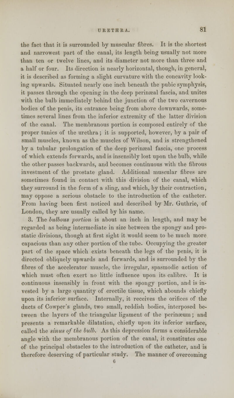 the fact that it is surrounded by muscular fibres. It is the shortest and narrowest part of the canal, its length being usually not more than ten or twelve lines, and its diameter not more than three and a half or four. Its direction is nearly horizontal, though, in general, it is described as forming a slight curvature with the concavity look- ing upwards. Situated nearly one inch beneath the pubic symphysis, it passes through the opening in the deep perineal fascia, and unites with the bulb immediately behind the junction of the two cavernous bodies of the penis, its entrance being from above downwards, some- times several lines from the inferior extremity of the latter division of the canal. The membranous portion is composed entirely of the proper tunics of the urethra; it is supported, however, by a pair of small muscles, known as the muscles of Wilson, and is strengthened by a tubular prolongation of the deep perineal fascia, one process of which extends forwards, and is insensibly lost upon the bulb, while the other passes backwards, and becomes continuous with the fibrous investment of the prostate gland. Additional muscular fibres are sometimes found in contact with this division of the canal, which they surround in the form of a sling, and which, by their contraction, may oppose a serious obstacle to the introduction of the catheter. From having been first noticed and described by Mr. Guthrie, of London, they are usually called by his name. 3. The bulbous portion is about an inch in length, and may be regarded as being intermediate in size between the spongy and pro- static divisions, though at first sight it would seem to be much more capacious than any other portion of the tube. Occupying the greater part of the space which exists beneath the legs of the penis, it is directed obliquely upwards and forwards, and is surrounded by the fibres of the accelerator muscle, the irregular, spasmodic action of which must often exert no little influence upon its calibre. It is continuous insensibly in front with the spongy portion, and is in- vested by a large quantity of erectile tissue, which abounds chiefly upon its inferior surface. Internally, it receives the orifices of the ducts of Cowper's glands, two small, reddish bodies, interposed be- tween the layers of the triangular ligament of the perinaeum; and presents a remarkable dilatation, chiefly upon its inferior surface, called the sinus of the bulb. As this depression forms a considerable angle with the membranous portion of the canal, it constitutes one of the principal obstacles to the introduction of the catheter, and is therefore deserving of particular study. The manner of overcoming