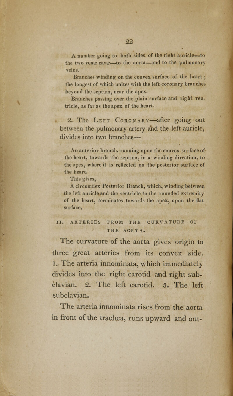 A number going to both sides of the right auricle—to the two vena? cavae—-to the aorta—and to the pulmonary veins. Branches winding on the convex surface of the heart ; the longest of which unites with the left coronary branches beyond the septum, near the apex. Branches passing over the plain surface and right ven- tricle, as far as the apex of the heart. 2. The Left Coronary—after going out between the pulmonary artery and the left auricle, divides into two branches— An anterior branch, running upon the convex surface of the heart, towards the septum, in a winding direction, to the apex, where it is reflected on the posterior surface of the heart. This gives, A circumflex Posterior Branch, which, winding between the left auricle and the ventricle to the rounded extremity of the heart, terminates towards the apex, upon the flat surface. II. ARTERIES FROM THE CURVATURE OF THE AORTA. The curvature of the aorta gives origin to three great arteries from its convex side. 1. The arteria innominata, which immediately divides into the right carotid and right sub- clavian. 2. The left carotid. 3. The left subclavian. The arteria innominata rises from the aorta in front of the trachea, runs upward and out-