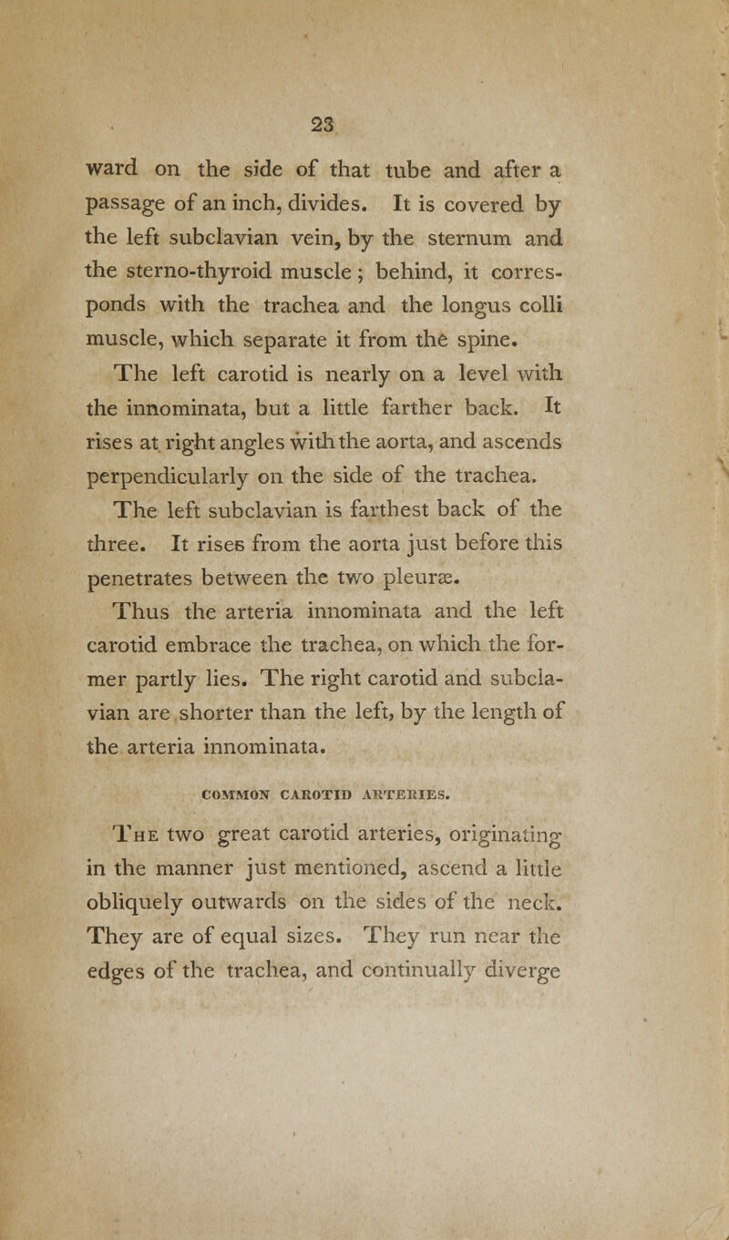 ward on the side of that tube and after a passage of an inch, divides. It is covered by the left subclavian vein, by the sternum and the sterno-thyroid muscle; behind, it corres- ponds with the trachea and the longus colli muscle, which separate it from the spine. The left carotid is nearly on a level with the innominata, but a little farther back. It rises at. right angles with the aorta, and ascends perpendicularly on the side of the trachea. The left subclavian is farthest back of the three. It rises from the aorta just before this penetrates between the two pleurse. Thus the arteria innominata and the left carotid embrace the trachea, on which the for- mer partly lies. The right carotid and subcla- vian are shorter than the left, by the length of the arteria innominata. COMMON CAROTID ARTERIES. The two great carotid arteries, originating in the manner just mentioned, ascend a little obliquely outwards on the sides of the neck. They are of equal sizes. They run near the edges of the trachea, and continually diverge