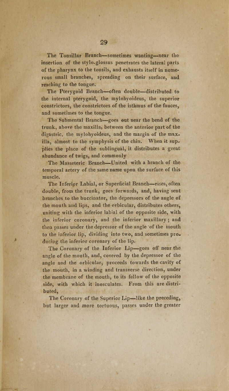 The Tonsillar Branch—sometimes wanting—near the insertion of the stylo, glossus penetrates the lateral parts of the pharynx to the tonsils, and exhausts itself in nume- rous small branches, spreading on their surface, and reaching to the tongue. The Pterygoid Branch—often double—distributed to the internal pterygoid, the mylohyoideus, the superior constrictors, the constrictors of the isthmus of the fauces, and sometimes to the tongue. The Submental Branch—goes out near the bend of the trunk, above the maxilla, between the anterior part of the digastric, the mylohyoideus, and the margin of the max- illa, almost to the symphysis of the chin. When it sup- plies the place of the sublingual, it distributes a great abundance of twigs, and commonly The Masseteric Branch—United with a branch of the temporal artery of the same name upon the surface of this muscle. The Inferior Labial, or Superficial Branch—rises, often double, from the trunk, goes forwards, and, having sent branches to the buccinator, the depressors of the angle of the mouth and lips, and the orbicular, distributes others, uniting with the inferior labial of the opposite side, with the inferior coronary, and the inferior maxillary ; and then passes under the depressor of the angle of the mouth to the inferior lip, dividing into two, and sometimes pro- ducing the inferior coronary of the lip. The Coronary of the Inferior Lip—goes off near the angle of the mouth, and, covered by the depressor of the angle and the orbicular, proceeds towards the cavity of the mouth, in a winding and transverse direction, under the membrane of the mouth, to its fellow of the opposite side, with which it inosculates. From this are distri- buted, The Coronary of the Superior Lip—like the preceding, but larger and more tortuous, passes under the greater