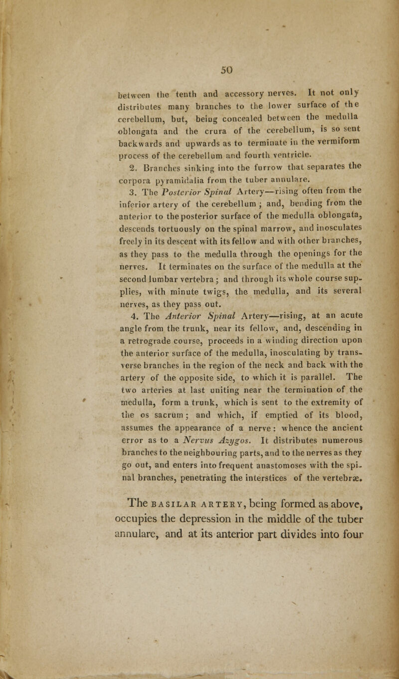 between the tenth and accessory nerves. It not only distributes many branches to the lower surface of the cerebellum, but, beiug concealed between the medulla oblongata and the crura of the cerebellum, is so sent backwards and upwards as to terminate in the vermiform process of the cerebellum and fourth vpntricle. 2. Branches sinking into the furrow that separates the corpora pyramidalia from the tuber annulare. 3. The Posterior Spinal Artery—rising often from the inferior artery of the cerebellum ; and, bending from the anterior to the posterior surface of the medulla oblongata, descends tortuously on the spinal marrow, and inosculates freely in its descent with its fellow and vt ith other branches, as they pass to the medulla through the openings for the nerves. It terminates on the surface of the medulla at the second lumbar vertebra ; and through its whole course sup- plies, with minute twigs, the medulla, and its several nerves, as they pass out. 4. The Anterior Spinal Artery—rising, at an acute angle from the trunk, near its fellow, and, descending in a retrograde course, proceeds in a winding direction upon the anterior surface of the medulla, inosculating by trans- verse branches in the region of the neck and back with the artery of the opposite side, to which it is parallel. The two arteries at last uniting near the termination of the medulla, form a trunk, which is sent to the extremity of the os sacrum; and which, if emptied of its blood, assumes the appearance of a nerve: whence the ancient error as to a Nervus Azygos. It distributes numerous branches to the neighbouring parts, and to the nerves as they go out, and enters into frequent anastomoses with the spi- nal branches, penetrating the interstices of the vertebrae. The basilar artery, being formed as above, occupies the depression in die middle of the tuber annulare, and at its anterior part divides into four V