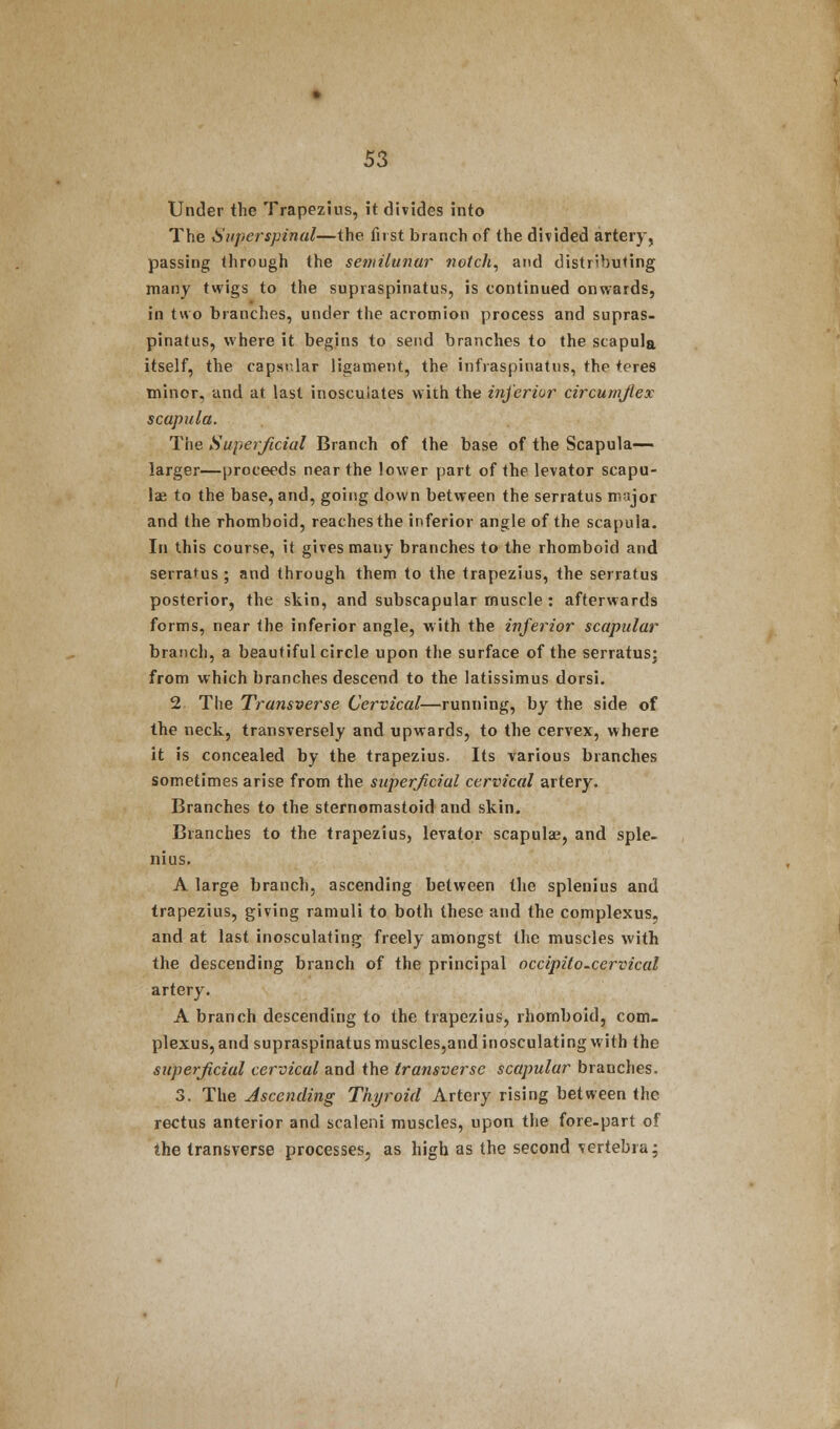 Under the Trapezius, it divides into The Superspinal—the first branch of the divided artery, passing through the semilunar notch, and distributing many twigs to the supraspinatus, is continued onwards, in two branches, under the acromion process and supras- pinatus, where it begins to send branches to the scapula itself, the capsular ligament, the infraspinatus, the teres minor, and at last inosculates with the inferior circumjiex scapula. The Superficial Branch of the base of the Scapula- larger—proceeds near the lower part of the levator scapu- lae to the base, and, going down between the serratus major and the rhomboid, reaches the inferior angle of the scapula. In this course, it gives many branches to the rhomboid and serratus ; and through them to the trapezius, the serratus posterior, the skin, and subscapular muscle : afterwards forms, near the inferior angle, with the inferior scapular branch, a beautiful circle upon the surface of the serratus: from which branches descend to the latissimus dorsi. 2 The Transverse Cervical—running, by the side of the neck, transversely and upwards, to the cervex, where it is concealed by the trapezius. Its various branches sometimes arise from the superficial cervical artery. Branches to the sternomastoid and skin. Branches to the trapezius, levator scapulae, and sple- nius. A large branch, ascending between the splenius and trapezius, giving ramuli to both these and the complexus, and at last inosculating freely amongst the muscles with the descending branch of the principal occipito-cervical artery. A branch descending to the trapezius, rhomboid, corn- plexus, and supraspinatus muscles,and inosculating with the superficial cervical and the transverse scapular branches. 3. The Ascending Thyroid Artery rising between the rectus anterior and scaleni muscles, upon the fore-part of the transverse processes, as high as the second vertebra;