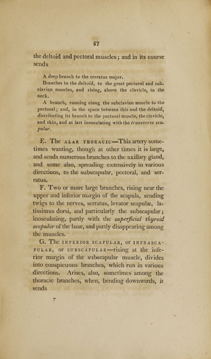 the deltoid and pectoral muscles; and in its course sends A deep branch to the serratus major. Branches to the deltoid, to the great pectoral and sub. clavian muscles, and rising, above the clavicle, to the neck. A branch, running along the subclavian muscle to the pectoral; and, in the space between this and the deltoid, distributing its branch to the pectoral muscle, the clavicle, and skin, and at last inosculating with the transverse sea. pular. E. The alar thoracic—This artery some- times wanting, though at other times it is large, and sends numerous branches to the axillary gland, and some also, spreading extensively in various directions, to the subscapular, pectoral, and ser- ratus. F. Two or more large branches, rising near the upper and inferior margin of the scapula, sending twigs to the nerves, serratus, levator scapulae, la- tissimus dorsi, and particularly the subscapular; inosculating, partly with the superficial thyroid scapular of the base, and partly disappearing among the muscles. G. The inferior scapular, orinfrasca- pular, or subscapular—rising at the infe- rior margin of the subscapular muscle, divides into conspicuous branches, which run in various directions. Arises, also, sometimes among the thoracic branches, when, bending downwards, it sends