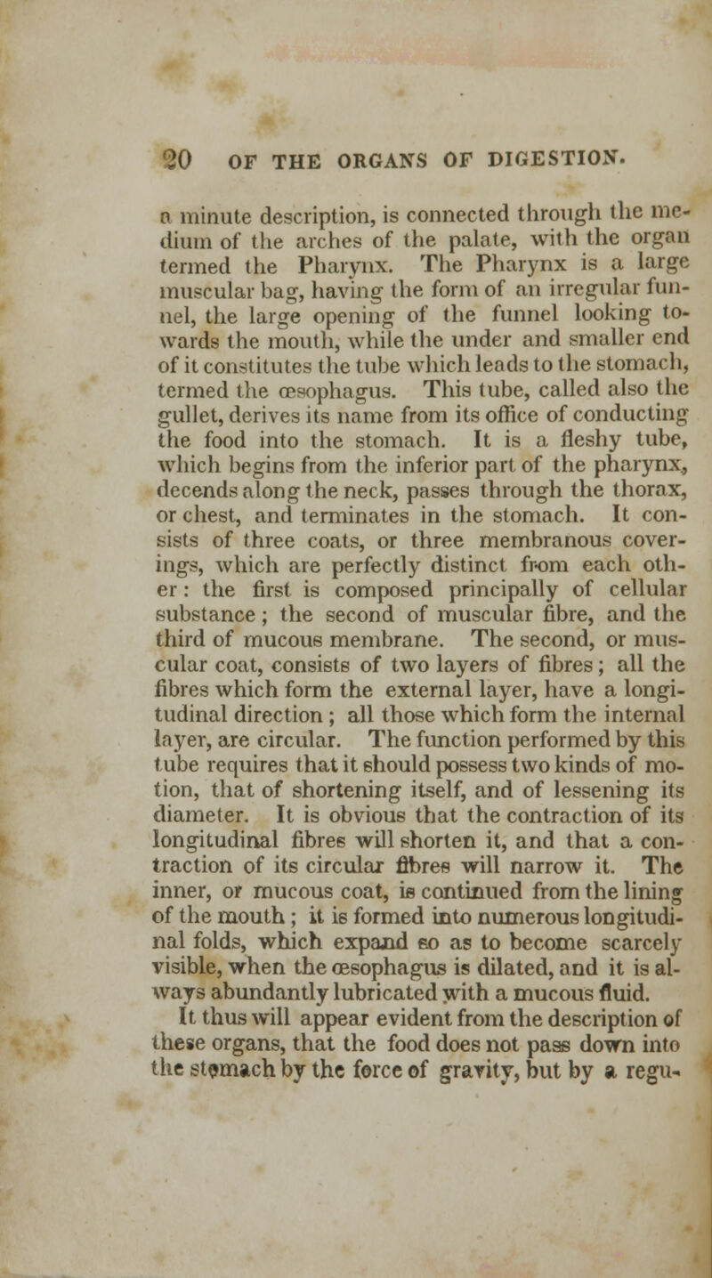 a minute description, is connected through the me- dium of the arches of the palate, with the organ termed the Pharynx. The Pharynx is a large muscular bag, having the form of an irregular fun- nel, the large opening of the funnel looking to- wards the mouth, while the under and smaller end of it constitutes the tube which leads to the stomach, termed the oesophagus. This tube, called also the gullet, derives its name from its office of conducting the food into the stomach. It is a fleshy tube, which begins from the inferior part of the pharynx, decends along the neck, passes through the thorax, or chest, and terminates in the stomach. It con- sists of three coats, or three membranous cover- ings, which are perfectly distinct from each oth- er : the first is composed principally of cellular substance; the second of muscular fibre, and the third of mucous membrane. The second, or mus- cular coat, consists of two layers of fibres; all the fibres which form the external layer, have a longi- tudinal direction ; all those which form the internal layer, are circular. The function performed by this tube requires that it should possess two kinds of mo- tion, that of shortening itself, and of lessening its diameter. It is obvious that the contraction of its longitudinal fibres will shorten it, and that a con- traction of its circular fibres will narrow it. The inner, or mucous coat, is continued from the lining of the mouth; it is formed into numerous longitudi- nal folds, which expand so as to become scarcely visible, when the oesophagus is dilated, and it is al- ways abundantly lubricated with a mucous fluid. It thus will appear evident from the description of these organs, that the food does not pass down into the stomach by the force of gravity, but by a regu*