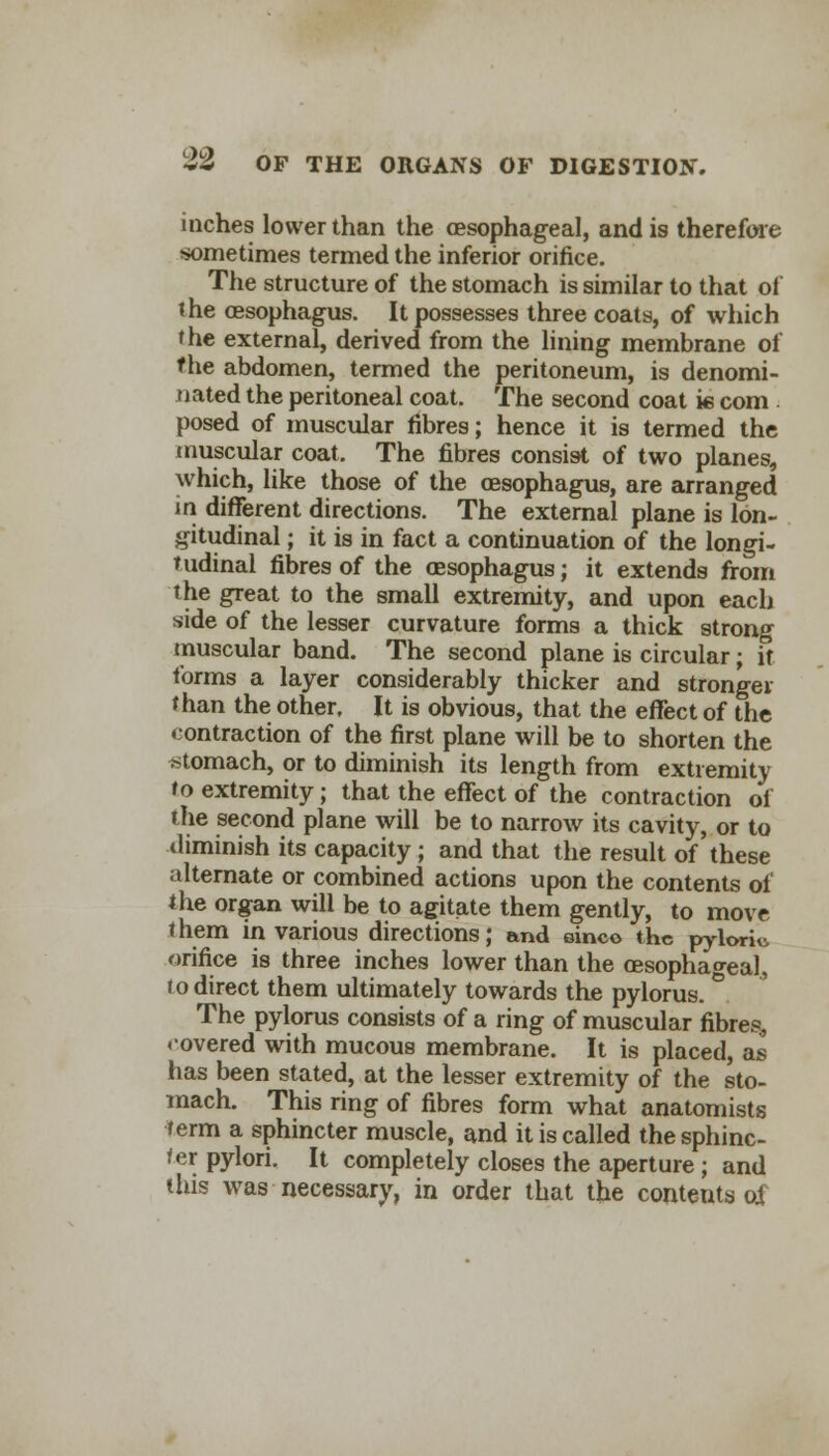 inches lower than the oesophageal, and is therefore sometimes termed the inferior orifice. The structure of the stomach is similar to that of the oesophagus. It possesses three coats, of which the external, derived from the lining membrane of the abdomen, termed the peritoneum, is denomi- nated the peritoneal coat. The second coat ie com posed of muscular fibres; hence it is termed the muscular coat. The fibres consist of two planes, which, like those of the oesophagus, are arranged in different directions. The external plane is lon- gitudinal ; it is in fact a continuation of the longi- tudinal fibres of the oesophagus; it extends from the great to the small extremity, and upon each side of the lesser curvature forms a thick strong muscular band. The second plane is circular; if forms a layer considerably thicker and stronger than the other. It is obvious, that the effect of the contraction of the first plane will be to shorten the stomach, or to diminish its length from extremity to extremity; that the effect of the contraction of the second plane will be to narrow its cavity, or to diminish its capacity; and that the result of'these alternate or combined actions upon the contents of the organ will be to agitate them gently, to move them in various directions; and oinco the pyloric orifice is three inches lower than the oesophageal, to direct them ultimately towards the pylorus. ° The pylorus consists of a ring of muscular fibres., covered with mucous membrane. It is placed, as has been stated, at the lesser extremity of the sto- mach. This ring of fibres form what anatomists term a sphincter muscle, and it is called the sphinc- ter pylori. It completely closes the aperture ; and ihis was necessary, in order that the contents of