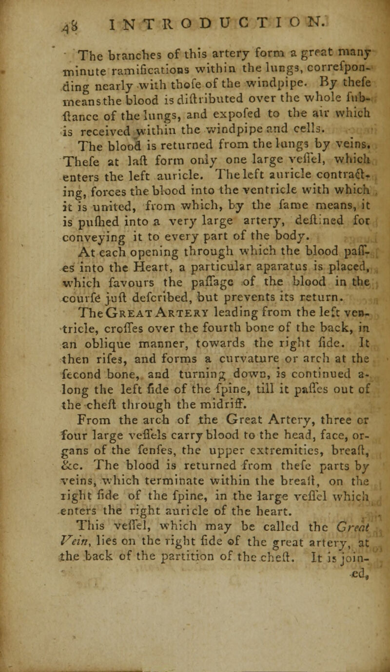 The branches of this artery form a great many minute ramifications within the lungs, correfpon- ding nearly with thofe of the windpipe. By thefe meansthe blood isdiftributed over the whole fub- ■ftance of the lungs, and expofed to the air which is received within the v/indpipe and cells. The blood is returned from the lungs by veins. Thefe at laft form only one large vefiel, which enters the left auricle. The left auricle contrafl- ing, forces the blood into the ventricle with whicii it is united, from which, by the fame means, it is puQied into a very large artery, deflincd for conveying it to every part of the body. At each opening through which the blood pac- es' into the Heart, a particular aparatus is placed, which favours the pafiagc of the blood in the courfe }uft defcribed, but prevents its return. The Great Artery leading from the left ve»- tricle, croffes over the fourth bone of the back, in an oblique manner, towards the right fide. It then rife3, and forms a curvature or arch at the fecond bone, and turnin;; down, is continued a- long the left fide of the fpine, till it paiTes out of the chefl through the midriff. From the arch of the Great Artery, three or four large vefl'els carry blood to the head, face, or- gans of the fenfes, the upper extremities, bread, ^c. The blood is returned from thefe parts by veins, which terminate within the breail, on the light fide of the fpine, in the large vefiel which enters the right auricle of the heart. This veffel, which may be called the Great Vein, lies on the right lide of the great artery, at the back of the partition of the cheft. It isjoin- ■ed,