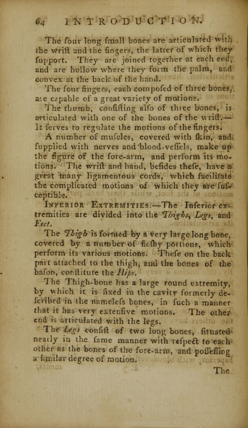 The four long fmall bones are articulated with rhe Wrift and the fingers, the latter of which they fujjport. They are joined together at each end, and are hollow where they forrn the palm, ar.d convex at the back of the hand. The four fingers, each compofed of three bones, a:e c.!pable of a great variety of motions. The thumb, confifting alio of three bones, is articulated with one of the bones of the wrilL— It ferves to regulate the motions of the fingers. A number of mufcles, covered with fkin, and fupplied with nerves and'blood-veffels, make uf) the figure of the fore-arm, and perform its mo- tions. The wrift and hand, befides thefe, have ar great tnany ligamentous cords, which facilitate the complicated motions of which they are fuf- ceptibl-'?,. -' ■ ■' '.- Inferior Extremities •^The Inferior ex- tremities are divided ihto the Thi^hs^ Legs, and F,ect. The '7'btgh \s fomi6d by a Very largelong bone, covered by a number of fitfhy pbitions, which perform its various motions, Thefe on the back part attached to. the thigh, and the bones of the bafon, conllitute the Hips. The Thigh-bone has a. large round extremity, by which it is fixed in the cavity formerly dc- fcVibedin the namelefs bones, in fuch a manner that it has very extenfive motions. The Other end is articulated with the legs. I'W iiegs confift of two lon|^ bones, fituated' neatly in the fame manner with refpe£l to each' other fls the bones of the fore-arm, and pofleffirg a fimilar degree of motion. , : , ;■