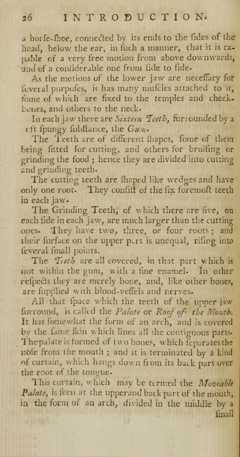 a hoi fe-fhoe, connected by its ends to the fides of the head, below the car, in fuch a manner, that it is ca- pable of a very free motion from above downwards, and of a coni'ideruble one from fide to fide. As the motions of the lower jaw are neceffary for levelal purpofes, it has many mufcles attached to it, Tome of which are fixed to the temples and cheek- bones, and others to the neck. In each jaw there are Sixteen Teeth, furrounded by a (ft fpungy fubflance, the Gum. The Teeth are of different ihapes, fome of them being fitted for cutting, and others for bruifing or grinding the food ; hence they are divided into cutting and grinding teeth. The cutting teeth are (Imped like wedges and have only one root. They confilt of the fix foremofi teeth in each jaw. The Grinding Teeth, of which there are five, on each fide in each jaw, are much larger than the cutting ones. They have two, three, or four roots; and their furface on the upper put is unequal, riling into {Several fmall points. The Teeth are all covered, in that part which is not within the gum, with a fine enamel. In other refpecis they are merely bone, and, like other bones, are fupplied with blood-velTels and nerves. Ail that fpace which the teeth of the upper jaw furround, is called the Palate or RooJ of- the Mouth. It has fbmewliat the form of an arch, and is covered by the fame flcin which lines all the contiguous parts. Thepalate is formed of two bones, which feparatesthe nofe from the mouth ; and it is terminated by a kind of curtain, which hangs down from its back part over the root of the tongue. This curtain, which may be termed the Moveable Palate, is fern at the upperand back part of the mouth,, in the form of an arch, divided in the middle by a fniail