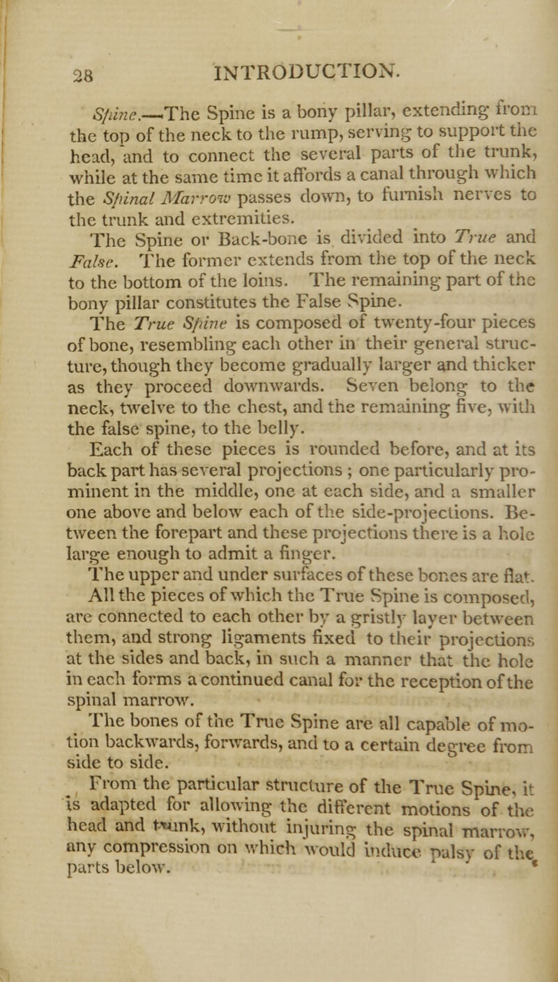 Sftine;—.The Spine is a bony pillar, extending from the top of the neck to the rump, serving to support the head, and to connect the several parts of the trunk, while at the same time it affords a canal through which the Spinal Marrow passes down, to furnish nerves to the trunk and extremities. The Spine or Back-bone is divided into True and False. The former extends from the top of the neck to the bottom of the loins. The remaining part of the bony pillar constitutes the False Spine. The True Spine is composed of twenty-four pieces of bone, resembling each other in their general struc- ture, though they become gradually larger and thicker as they proceed downwards. Seven belong to the neck, twelve to the chest, and the remaining five, with the false spine, to the belly. Each of these pieces is rounded before, and at its back part has several projections ; one particularly pro- minent in the middle, one at each side, and a smaller one above and below each of the side-projections. Be- tween the forepart and these projections there is a hole large enough to admit a finger. The upper and under surfaces of these benes are flat. All the pieces of which the True Spine is composed, are connected to each other by a gristly layer between them, and strong ligaments fixed to their projections at the sides and back, in such a manner that the hole in each forms a continued canal for the reception of the spinal marrow. The bones of the True Spine are all capable of mo- tion backwards, forwards, and to a certain degree from side to side. From the particular structure of the True Spine, it is adapted for allowing the different motions of the head and t-nink, without injuring the spinal marrow, any compression on which would induce palsy of the parts below.