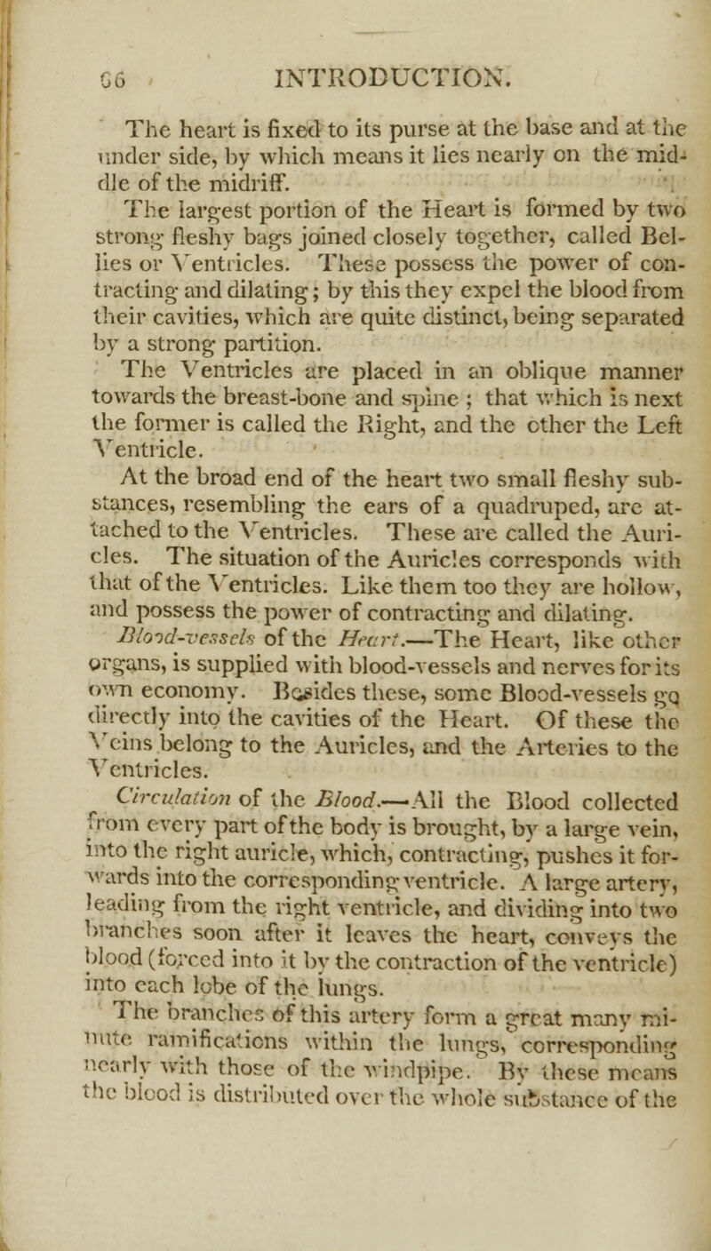 The heart is fixed to its purse at the base and at the raider side, by which means it lies nearly on the mid- dle of the midriff. The largest portion of the Heart is formed by two strong fleshy bags joined closely together, called Bel- lies or Ventricles. These possess the power of con- tracting and dilating; by this they expel the blood from their cavities, which are quite distinct, being separated by a strong partition. The Ventricles are placed in an oblique manner towards the breast-bone and spine ; that which is next the former is called the Right, and the ether the Left Ventricle. At the broad end of the heart two small fleshy sub- stances, resembling the ears of a quadruped, are at- tached to the Ventricles. These are called the Auri- cles. The situation of the Auricles corresponds with that of the Ventricles. Like them too they are hollow, and possess the power of contracting and dilating. tilond-vezseh of the Heart.—The Heart, like other organs, is supplied with blood-vessels and nerves for its own economy. Besides these, some Blood-vessels go. directly into the cavities of the Heart. Of these the Veins belong to the Auricles, and the Arteries to the Ventricles. Circulation of the Blood.—All the Blood collected from every part of the body is brought, by a large vein, into the right auricle, which, contracting, pushes it for- wards into the corresponding ventricle. A large arterv, leading from the right ventricle, and dividing into two branches soon after it leaves the heart, convevs the blood (forced into it by the contraction of the ventricle) into each lobe of the lungs. The brariqhes of this artery form a great many mi- nute ramifications within the lungs,' corresponding nearly with those of the windpipe. By these means the blood is distributed over the whole substance of the