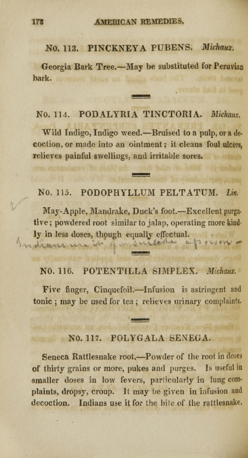 NO. 113. PINCKNEYA PUBENS. Michaux. Georgia Bark Tree.—May be substituted for Peruvian bark. NO. 114. PODALYRIA TINCTORIA. Michaux. Wild Indigo, Indigo weed.—Bruised to a pulp, or a de- coction, or made into an ointment; it cleans foul ulcers, relieves painful swellings, and irritable sores. NO. 115. PODOPHYLLUM PELTATUM. Lin. May-Apple, Mandrake, Duck's foot.—Excellent purga- tive ; powdered root similar to jalap, operating more kind- ly in less doses, though equally effectual. (* vy f NO. 11C. POTENTILLA SIMPLEX. Michaux. Five finger, Cinquefoil.—Infusion is astringent and tonic ; may be used for tea; relieves urinary complaints. NO. 117. POLYGALA SENEGA. Seneca Rattlesnake root.—Powder of the root in doses of thirty grains or more, pukes and purges. Is useful in smaller doses in low fevers, particularly in lung com- plaints, dropsy, croup. It may be given in infusion and decoction. Indians use it for the bile of the rattlesnake.