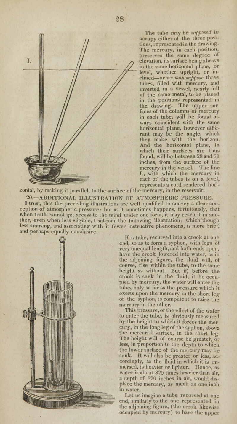 2$ The tube may be supposed to occupy either of the three posi- tions, represented in the drawing'. The mercury, in each position, preserves the same degree of elevation, its surface being- always in the same horizontal plane, or level, whether upright, or in- clined—or -we may suppose three tubes, filled with mercury, and inverted in a vessel, nearly Full of the same metal, to be placed in the positions represented in the drawing. The upper sur- faces of the columns of mercury in each tube, will be found al- ways coincident with the same horizontal plane, however diffe- rent may be the angle, which they make with the horizon. And the horizontal plane, in which their surfaces are thus found, will be between 28 and T>1 inches, from the surface of the mercury in the vessel. The line L, with which the mercury in each of the tubes is on a level, represents a cord rendered hori- zontal, by making it parallel, to the surface of the mercury, in the reservoir. 20.—ADDITIONAL ILLUSTRATION OF ATMOSPHERIC PRESSURE. I trust, that the preceding illustrations are well qualified to convey a clear con- ception of atmospheric pressure: but as it sometimes happens, fortuitously, that when truth cannot get access to the mind under one form, it may reach it in ano- ther, even when less eligible, I subjoin the following illustration; which though less amusing, and associating with it fewer instructive phenomena, is more brief, and perhaps equally conclusive. If a tube, recurved into a crook at one end, so as to form a syphon, with legs of very unequal length, and botli ends open, have the crook lowered into water, as in the adjoining figure, the fluid will, of course, rise within the lube, to the same height as without. But if, before the crook is sunk in the fluid, it be occu- pied by mercury, the water will enter the tube, only so far as the pressure which it exerts upon the mercury in the short leg of the syphon, is competent to raise the mercury in the other. This pressure, or the effort of the water to enter the tube, is obviously measured by the height to which it forces the mer- cury, in the long leg of the syphon,above the mercurial surface, in the short leg. The height will of course be greater, or less, in proportion to the depth to which. the lower surface of the mercury may be sunk. It will also be greater or less, ac- cordingly, as the fluid in which it is im- mersed, is heavier or lighter. Hence, as water is about 820 times heavier than air, a depth of 820 inches in air, would dis- place the mercury, as much as one inch in water. Let us imagine a tube recurved at one end, similarly to the one represented in the adjoining figure, (the crook likewise occupied by mercury) to have the upper