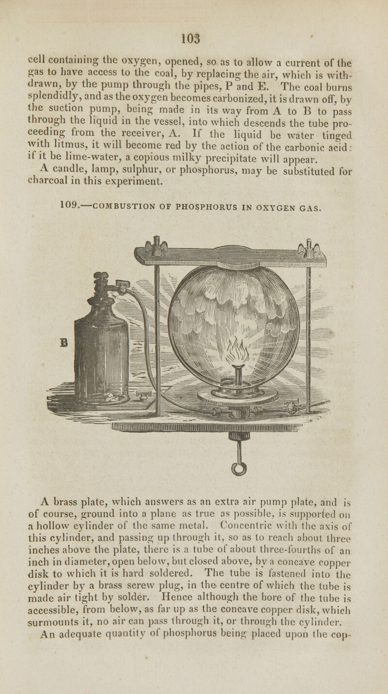 cell containing the oxygen, opened, so as to allow a current of the gas to have access to the coal, by replacing the air, which is with- drawn, by the pump through the pipes, P and E. The coal burns splendidly, and as the oxygen becomes carbonized, it is drawn off, by the suction pump, being made in its wav from A to B to pass through the liquid in the vessel, into which descends the tube pro- ceeding from the receiver, A. If the liquid be water tinged with litmus, it will become red by the action of the carbonic acid: if it be lime-water, a copious milky precipitate will appear. A candle, lamp, sulphur, or phosphorus, may be substituted for charcoal in this experiment. 109. COMBUSTION OF PHOSPHORUS IN OXYGEN GAS. A brass plate, which answers as an extra air pump plate, and is of course, ground into a plane as true as possible, is .supported on a hollow cylinder of the same metal. Concentric with the axis of this cylinder, and passing up through it, so as to reach about three inches above the plate, there is a tube of about three-fourths of an inch in diameter, open below, but closed above, by a concave copper disk to which it is hard soldered. The tube is fastened into the cylinder by a brass screw plug, in the centre of which the tube is made air tight by solder. Hence although the bore of the tube is accessible, from below, as far up as the concave copper disk, which surmounts it, no air can pass through it, or through the cylinder. An adequate quantity of phosphorus being placed upon the cop-