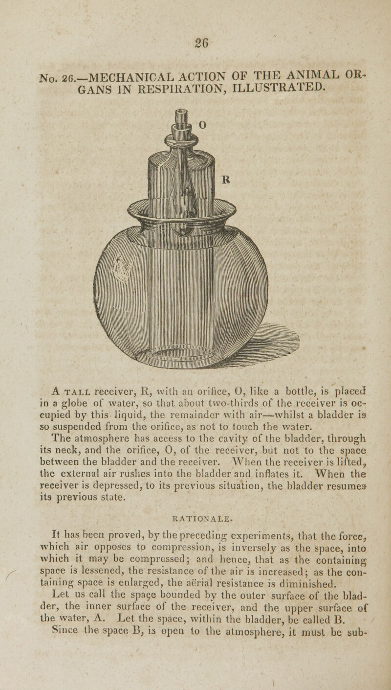 No. 26.—MECHANICAL ACTION OF THE ANIMAL OR- GANS IN RESPIRATION, ILLUSTRATED. A tall receiver, R, with an orifice, 0, like a bottle, is placed in a globe of water, so that about two-thirds of the receiver is oc- cupied by this liquid, the remainder with air—whilst a bladder is so suspended from the orifice, as not to touch the water. The atmosphere has access to the cavity of the bladder, through its neck, and the orifice, 0, of the receiver, but not to the space between the bladder and the receiver. When the receiver is lifted, the external air rushes into the bladder and inflates it. When the receiver is depressed, to its previous situation, the bladder resumes its previous state. RATIONALE. It has been proved, by the preceding experiments, that the force7 which air opposes to compression, is inversely as the space, into which it maybe compressed; and hence, that as the containing space is lessened, the resistance of the air is increased; as the con- taining space is enlarged, the aerial resistance is diminished. Let us call the spac,e bounded by the outer surface of the blad- der, the inner surface of the receiver, and the upper surface of the water, A. Let the space, within the bladder, be called B. Since the space 13, is open to the atmosphere, it must be sub-
