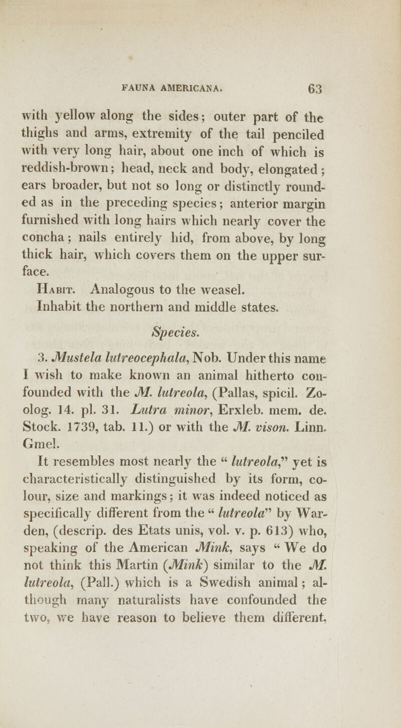 with yellow along the sides; outer part of the thighs and arms, extremity of the tail penciled Avith very long hair, about one inch of which is reddish-brown; head, neck and body, elongated; ears broader, but not so long or distinctly round- ed as in the preceding species; anterior margin furnished with long hairs which nearly cover the concha; nails entirely hid, from above, by long thick hair, which covers them on the upper sur- face. Habit. Analogous to the weasel. Inhabit the northern and middle states. Species. 3. Mustela lutreocephala, Nob. Under this name I wish to make known an animal hitherto con- founded with the M. hdreola, (Pallas, spicil. Zo- olog. 14. pi. 31. Lutra minor, Erxleb. mem. de. Stock. 1739, tab. 11.) or with the M. vison. Linn. Gmel. It resembles most nearly the  lutreola yet is characteristically distinguished by its form, co- lour, size and markings; it was indeed noticed as specifically different from the  lutreola by War- den, (descrip. des Etats unis, vol. v. p. 613) who, speaking of the American Mink, says  We do not think this Martin {Mink) similar to the M. hitreola, (Pall.) which is a Swedish animal; al- though many naturalists have confounded the two, we have reason to believe them different,