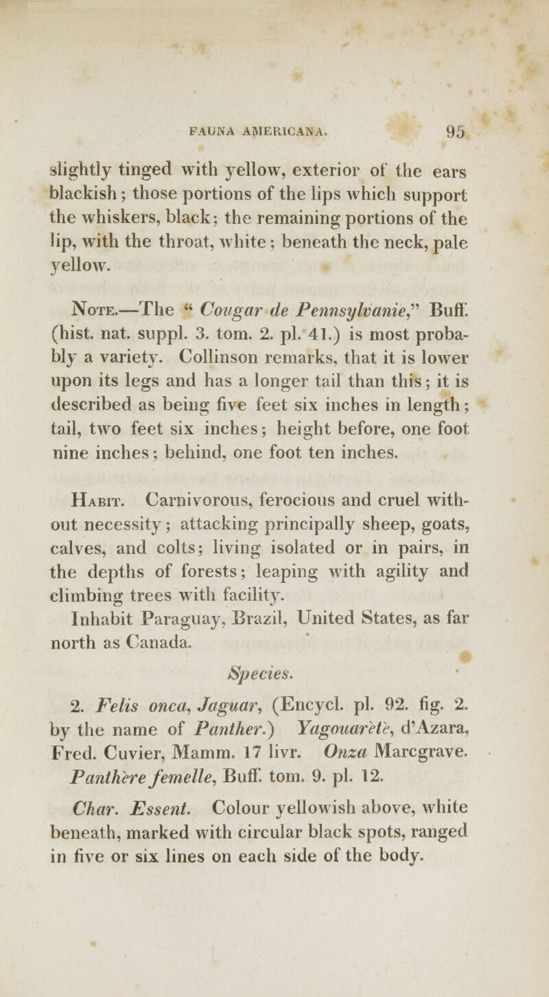 slightly tinged with yellow, exterior of the ears blackish; those portions of the lips which support the whiskers, black; the remaining portions of the lip, with the throat, white; beneath the neck, pale yellow. Note.—The  Cougar de Pennsylvanie Buff. (hist. nat. suppl. 3. torn. 2. pi. 41.) is most proba- bly a variety. Collinson remarks, that it is lower upon its legs and has a longer tail than this; it is described as being five feet six inches in length; tail, two feet six inches; height before, one foot nine inches; behind, one foot ten inches. Habit. Carnivorous, ferocious and cruel with- out necessity; attacking principally sheep, goats, calves, and colts; living isolated or in pairs, in the depths of forests; leaping with agility and climbing trees with facility. Inhabit Paraguay, Brazil, United States, as far north as Canada. Species. 2. Felts onca, Jaguar, (Encycl. pi. 92. fig. 2. by the name of Panther.) YagouarHe, d'Azara, Fred. Cuvier, Mamm. 17 livr. Onza Marcgrave. P anther e femelle, Buff. torn. 9. pi. 12. Char. Essent. Colour yellowish above, white beneath, marked with circular black spots, ranged in five or six lines on each side of the body.