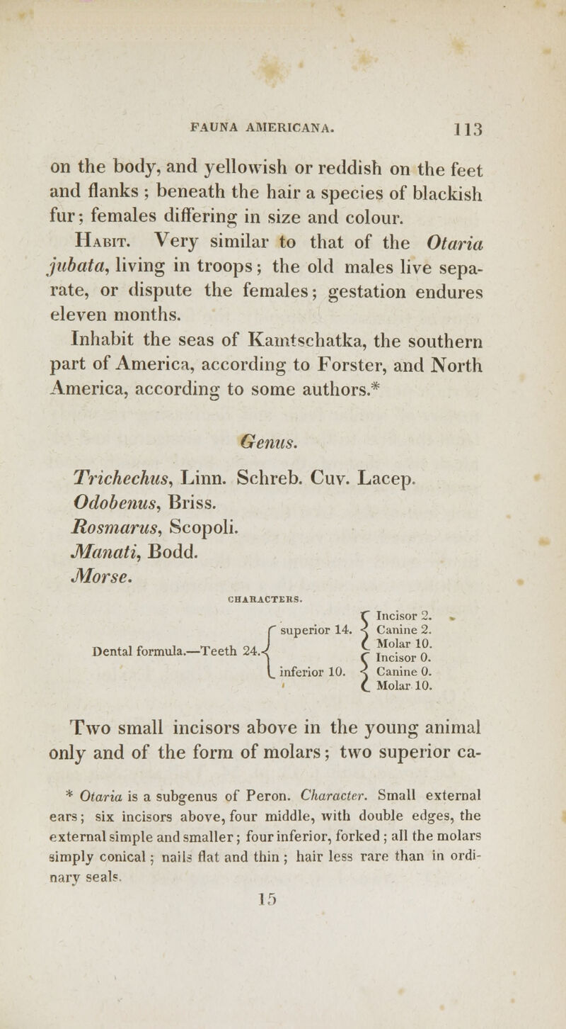 on the body, and yellowish or reddish on the feet and flanks ; beneath the hair a species of blackish fur; females differing in size and colour. Habit. Very similar to that of the Otaria jubata, living in troops; the old males live sepa- rate, or dispute the females; gestation endures eleven months. Inhabit the seas of Kamtschatka, the southern part of America, according to Forster, and North America, according to some authors.* Genus. Trichechus, Linn. Schreb. Cuv. Lacep. Odobenus, Briss. Rosmarus, Scopoli. Manati, Bodd. Morse. CHAHACTERS. r superior 14. Dental formula.—Teeth 24 J L inferior 10. Two small incisors above in the young animal only and of the form of molars; two superior ca- * Otaria is a subgenus of Peron. Character. Small external ears; six incisors above, four middle, with double edges, the external simple and smaller; four inferior, forked ; all the molars simply conical 5 nails flat and thin ; hair less rare than in ordi- nary seals. 15