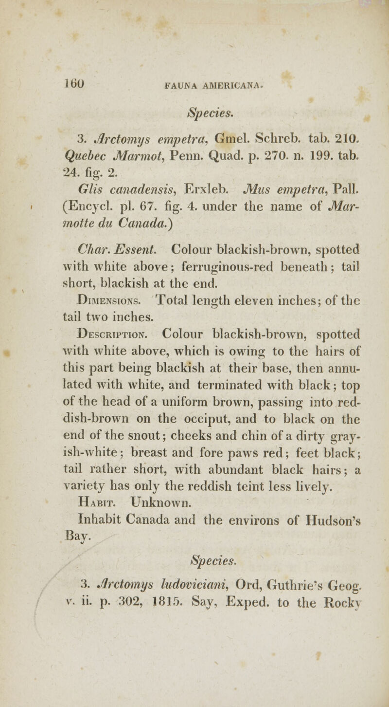 Species. 3. Jtrctomys empetra, Gmel. Schreb. tab. 210. Quebec Marmot, Penn. Quad. p. 270. n. 199. tab. 24. fig. 2. Glis canadensis, Erxleb. Mus empetra, Pall. (Encycl. pi. 67. fig. 4. under the name of Mar- motte du Canada.) Char. Essent. Colour blackish-brown, spotted with white above; ferruginous-red beneath; tail short, blackish at the end. Dimensions. Total length eleven inches; of the tail two inches. Description. Colour blackish-brown, spotted with white above, which is owing to the hairs of this part being blackish at their base, then annu- lated with white, and terminated with black; top of the head of a uniform brown, passing into red- dish-brown on the occiput, and to black on the end of the snout; cheeks and chin of a dirty gray- ish-white ; breast and fore paws red; feet black; tail rather short, with abundant black hairs; a variety has only the reddish teint less lively. Habit. Unknown. Inhabit Canada and the environs of Hudson's Bay. Species. 3. Jlrctomys ludoviciani, Ord, Guthrie's Geog.