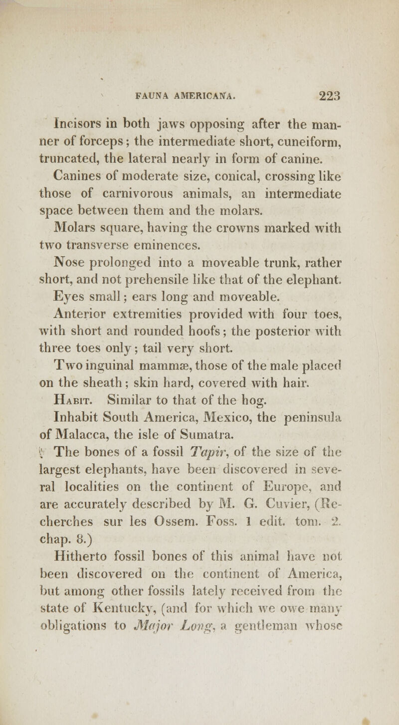 Incisors in both jaws opposing after the man- ner of forceps; the intermediate short, cuneiform, truncated, the lateral nearly in form of canine. Canines of moderate size, conical, crossing like those of carnivorous animals, an intermediate space between them and the molars. Molars square, having the crowns marked with two transverse eminences. Nose prolonged into a moveable trunk, rather short, and not prehensile like that of the elephant. Eyes small; ears long and moveable. Anterior extremities provided with four toes, with short and rounded hoofs; the posterior with three toes only; tail very short. Two inguinal mammae, those of the male placed on the sheath; skin hard, covered with hair. Habit. Similar to that of the hog. Inhabit South America, Mexico, the peninsula of Malacca, the isle of Sumatra. It The bones of a fossil Tapir, of the size of the largest elephants, have been discovered in seve- ral localities on the continent of Europe, and are accurately described by M. G. Cuvier, (Re- cherches sur les Ossem. Foss. 1 edit. torn. i>. chap. 8.) Hitherto fossil bones of this animal have not been discovered on the continent of America, but among other fossils lately received from the state of Kentucky, (and for which we owe many obligations to Major Lovg, a gentleman whose