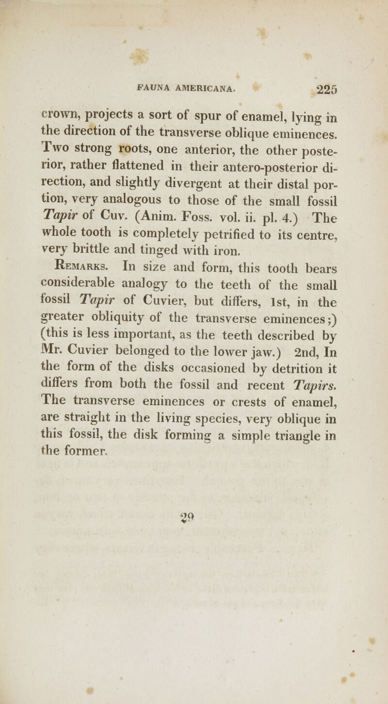 crown, projects a sort of spur of enamel, lying in the direction of the transverse oblique eminences. Two strong roots, one anterior, the other poste- rior, rather flattened in their antero-posterior di- rection, and slightly divergent at their distal por- tion, very analogous to those of the small fossil Tapir of Cuv. (Anim. Foss. vol. ii. pi. 4.) The whole tooth is completely petrified to its centre, very brittle and tinged with iron. Remarks. In size and form, this tooth bears considerable analogy to the teeth of the small fossil Tapir of Cuvier, but differs, 1st, in the greater obliquity of the transverse eminences;) (this is less important, as the teeth described by Mr. Cuvier belonged to the lower jaw.) 2nd, In the form of the disks occasioned by detrition it differs from both the fossil and recent Tapirs. The transverse eminences or crests of enamel, are straight in the living species, very oblique in this fossil, the disk forming a simple triangle in the former. 29