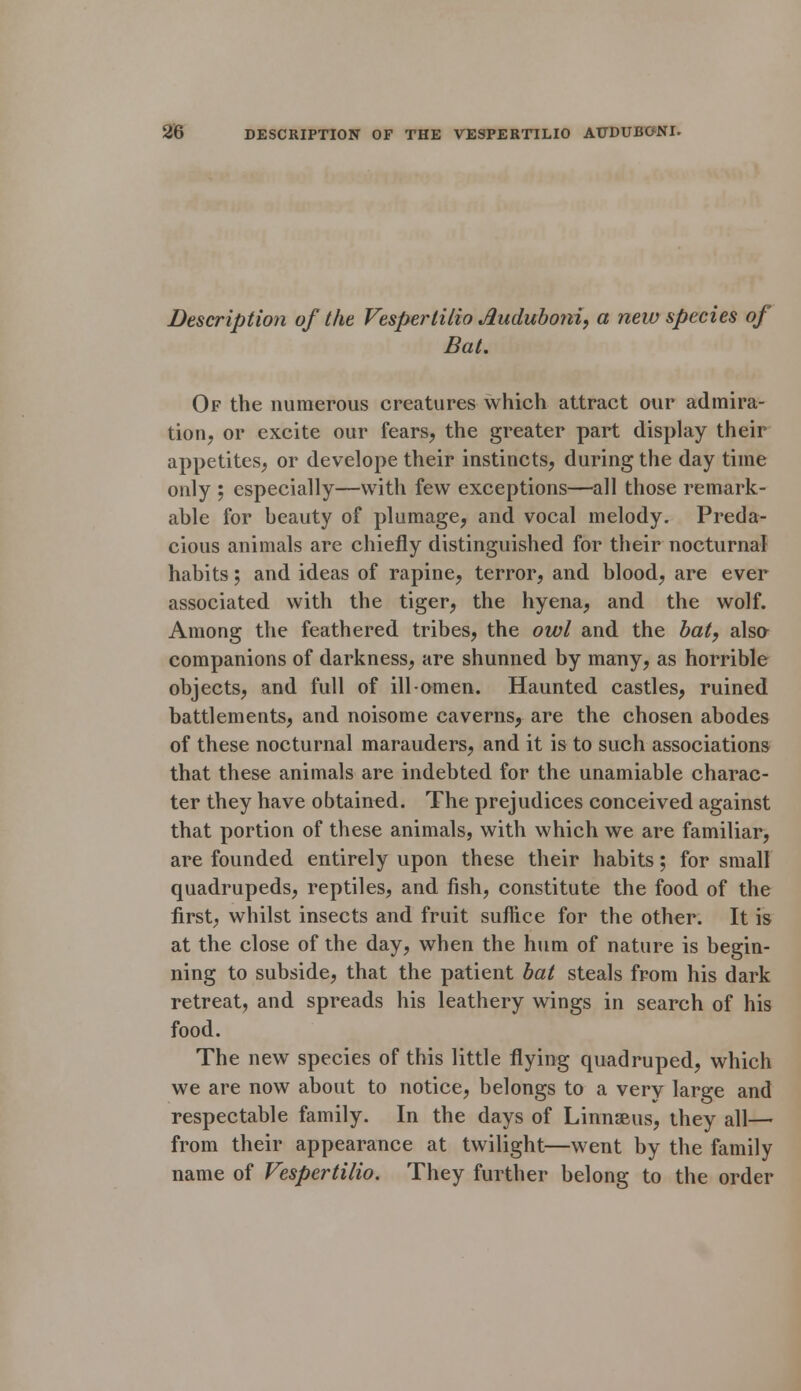 Description of the Vesper tilio Auduboni, a new species of Bat. Of the numerous creatures which attract our admira- tion, or excite our fears, the greater part display their appetites, or develope their instincts, during the day time only ; especially—with few exceptions—all those remark- able for beauty of plumage, and vocal melody. Preda- cious animals are chiefly distinguished for their nocturnal habits; and ideas of rapine, terror, and blood, are ever associated with the tiger, the hyena, and the wolf. Among the feathered tribes, the owl and the bat, also companions of darkness, are shunned by many, as horrible objects, and full of ill-omen. Haunted castles, ruined battlements, and noisome caverns, are the chosen abodes of these nocturnal marauders, and it is to such associations that these animals are indebted for the unamiable charac- ter they have obtained. The prejudices conceived against that portion of these animals, with which we are familiar, are founded entirely upon these their habits; for small quadrupeds, reptiles, and fish, constitute the food of the first, whilst insects and fruit suflice for the other. It is at the close of the day, when the hum of nature is begin- ning to subside, that the patient bat steals from his dark retreat, and spreads his leathery wings in search of his food. The new species of this little flying quadruped, which we are now about to notice, belongs to a very large and respectable family. In the days of Linnaeus, they all— from their appearance at twilight—went by the family name of Vespertilio. They further belong to the order