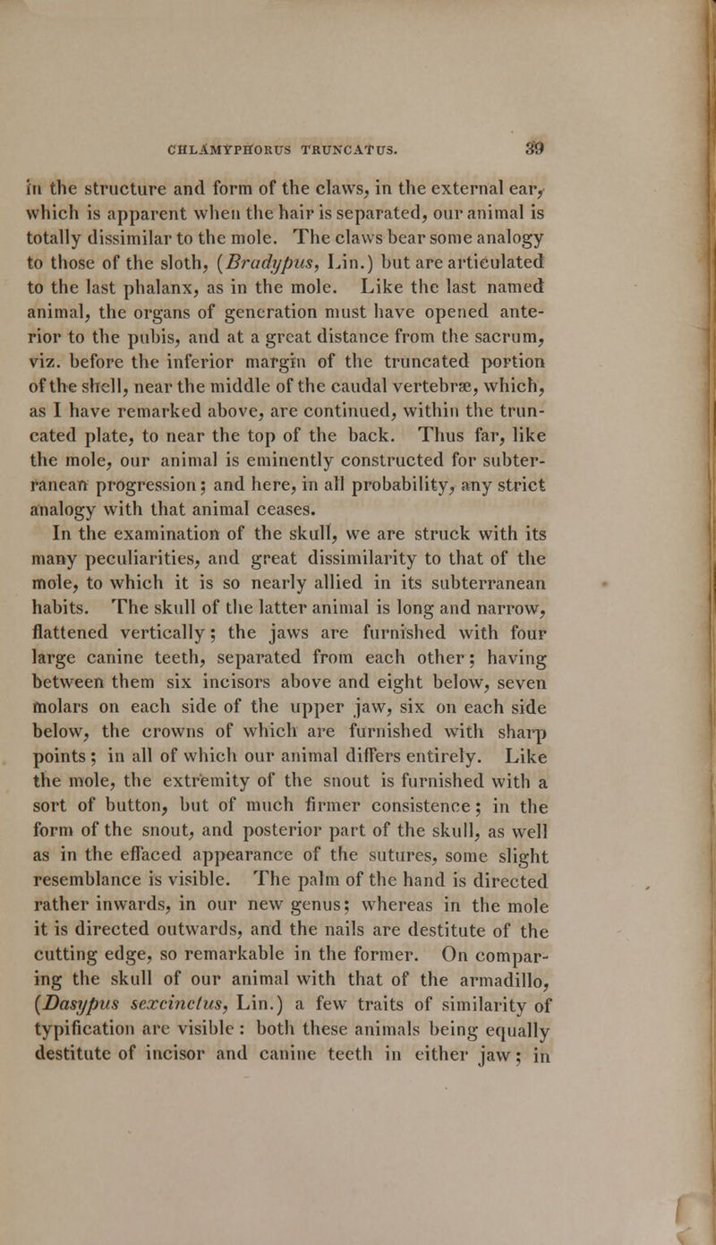 hi the structure and form of the claws, in the external ear, which is apparent when the hair is separated, our animal is totally dissimilar to the mole. The claws bear some analogy to those of the sloth, [Bradypus, Lin.) but are articulated to the last phalanx, as in the mole. Like the last named animal, the organs of generation must have opened ante- rior to the pubis, and at a great distance from the sacrum, viz. before the inferior margin of the truncated portion of the shell, near the middle of the caudal vertebrae, which, as I have remarked above, are continued, within the trun- cated plate, to near the top of the back. Thus far, like the mole, our animal is eminently constructed for subter- ranean progression; and here, in all probability, any strict analogy with that animal ceases. In the examination of the skull, we are struck with its many peculiarities, and great dissimilarity to that of the mole, to which it is so nearly allied in its subterranean habits. The skull of the latter animal is long and narrow, flattened vertically; the jaws are furnished with four large canine teeth, separated from each other; having between them six incisors above and eight below, seven molars on each side of the upper jaw, six on each side below, the crowns of which are furnished with sharp points ; in all of which our animal differs entirely. Like the mole, the extremity of the snout is furnished with a sort of button, but of much firmer consistence; in the form of the snout, and posterior part of the skull, as well as in the effaced appearance of the sutures, some slight resemblance is visible. The palm of the hand is directed rather inwards, in our new genus; whereas in the mole it is directed outwards, and the nails are destitute of the cutting edge, so remarkable in the former. On compar- ing the skull of our animal with that of the armadillo, [Dasypus sexcinctus, Lin.) a few traits of similarity of typification are visible : both these animals being equally destitute of incisor and canine teeth in either jaw; in