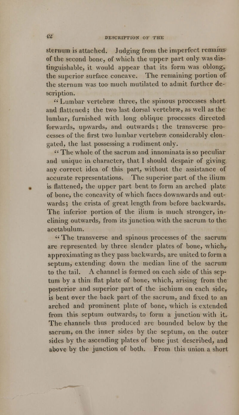 & DESCRIPTION OF THE sternum is attached. Judging from the imperfect remains of the second bone, of which the upper part only was dis- tinguishable, it would appear that its form was oblong, the superior surface concave. The remaining portion of the sternum was too much mutilated to admit further de- scription.  Lumbar vertebrae three, the spinous processes short and flattened; the two last dorsal vertebrae, as well as the lumbar, furnished with long oblique processes directed forwards, upwards, and outwards; the transverse pro- cesses of the first two lumbar vertebrae considerably elon- gated, the last possessing a rudiment only.  The whole of the sacrum and innominata is so peculiar and unique in character, that I should despair of giving any correct idea of this part, without the assistance of accurate representations. The superior part of the ilium is flattened, the upper part bent to form an arched plate of bone, the concavity of which faces downwards and out- wards; the crista of great length from before backwards. The inferior portion of the ilium is much stronger, in- clining outwards, from its junction with the sacrum to the acetabulum. u The transverse and spinous processes of the sacrum are represented by three slender plates of bone, whichf approximating as they pass backwards, are united to form a septum, extending down the median line of the sacrum to the tail. A channel is formed on each side of this sep- tum by a thin flat plate of bone, which, arising from the posterior and superior part of the ischium on each side, is bent over the back part of the sacrum, and fixed to an arched and prominent plate of bone, which is extended from this septum outwards, to form a junction with it. The channels thus produced are bounded below by the sacrum, on the inner sides by the septum, on the outer sides by the ascending plates of bone just described, and above by the junction of both. From this union a short