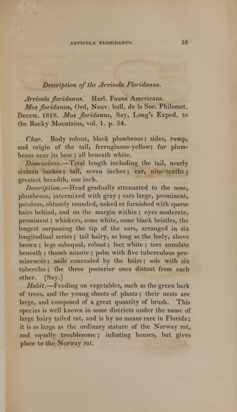 Description of the Jlrvicola Floridanus. Arvicola floridanus. Harl. Fauna Americana. Mus floridanus, Ord, Nouv. bull, de la Soc. Philomat. Decern. 1818. Mus floridanus, Say, Long's Exped. to the Rocky Mountains, vol. 1. p. 54. Char. Body robust, black plumbeous; sides, rump, and origin of the tail, ferruginous-yellow; fur plum- beous near its base ; all beneath white. Dimensions.—Total length including the tail, nearly sixteen inches; tail, seven inches; ear, nine-tenths ; greatest breadth, one inch. Description.—Head gradually attenuated to the nose, plumbeous, intermixed with gray; ears large, prominent, patulous, obtusely rounded, naked or furnished with sparse hairs behind, and on the margin within; eyes moderate, prominent: whiskers, some white, some black bristles, the longest surpassing the tip of the ears, arranged in six longitudinal series; tail hairy, as long as the body, above brown ; legs subequal, robust; feet white ; toes annulate beneath : thumb minute ; palm with five tuberculous pro- minences ; nails concealed by the hairs; sole with six tubercles; the three posterior ones distant from each other. (Say.) Habit.—Feeding on vegetables, such as the green bark of trees, and the young shoots of plants; their nests are large, and composed of a great quantity of brush. This species is well known in some districts under the name of large hairy tailed rat, and is by no means rare in Florida; it is as large as the ordinary stature of the Norway rat, and equally troublesome; infesting houses, but gives place to the Norway rat.