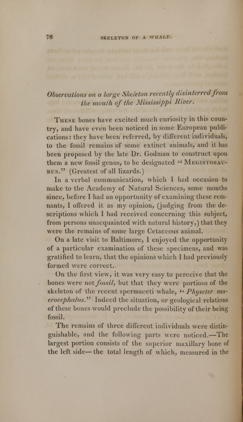 Observations on a large Skeleton recently disinterred from the mouth of the Mississippi River. These bones have excited much curiosity in this coun- try, and have even been noticed in some European publi- cations: they have been referred, by different individuals, to the fossil remains of some extinct animals, and it has been proposed by the late Dr. Godman to construct upon them a new fossil genus, to be designated  Megistosau- rus. (Greatest of all lizards.) In a verbal communication, which I had occasion to make to the Academy of Natural Sciences, some months since, before I had an opportunity of examining these rem- nants, I offered it as my opinion, (judging from the de- scriptions which I had received concerning this subject, from persons unacquainted with natural history,) that they were the remains of some large Cetaceous animal. On a late visit to Baltimore, I enjoyed the opportunity of a particular examination of these specimens, and was gratified to learn, that the opinions which I had previously formed were correct.. On the first view, it was very easy to perceive that the bones were not fossil, but that they were portions of the skeleton of the recent spermaceti whale, ii Physeter ma- crocephalus. Indeed the situation, or geological relations of these bones would preclude the possibility of their being fossil. The remains of three different individuals were distin- guishable, and the following parts were noticed.—The largest portion consists of the superior maxillary bone of the left side—the total length of which, measured in the
