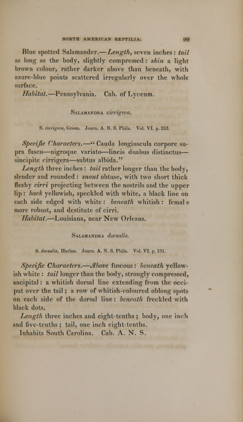 Blue spotted Salamander.—Length, seven inches : tail ;is long as the body, slightly compressed : skin a light brown colour, rather darker above than beneath, with azure-blue points scattered irregularly over the whole surface. Habitat.—Pennsylvania. Cab. of Lyceum. Salamandra cirrigera. S. cirrigera, Green. Joum. A. N. S. Phila. Vol. VI. p. 253. Specific Characters.— Cauda longiuscula corpore su- pra fusco—nigroque variato—lineis duabus distinctus— sincipite cirrigera—subtus albida. Length three inches : tail rather longer than the body, slender and rounded : snout obtuse, with two short thick fleshy cirri projecting between the nostrils and the upper lip: back yellowish, speckled with white, a black line on each side edged with white: beneath whitish : femal e more robust, and destitute of cirri. Habitat.—Louisiana, near New Orleans. Salamandra dorsalis. S. dorsalis, Harlan. Joum. A. N. S. Phila. Vol. VI. p. 101. Specific Characters.—Above fuscous : beneath yellow- ish white : tail longer than the body, strongly compressed, ancipital: a whitish dorsal line extending from the occi- put over the tail; a row of whitish-coloured oblong spots on each side of the dorsal line: beneath freckled with black dots. Length three inches and eight-tenths ; body, one inch and live-tenths ; tail, one inch eight-tenths. Inhabits South Carolina. Cab. A. N. S.