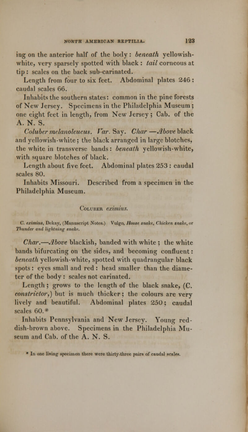 ing on the anterior half of the body: beneath yellowish- white, very sparsely spotted with black : tail corneous at tip : scales on the back sub-carinated. Length from four to six feet. Abdominal plates 246 : caudal scales 66. Inhabits the southern states: common in the pine forests of New Jersey. Specimens in the Philadelphia Museum; one eight feet in length, from New Jersey; Cab. of the A. N. S. Coluber melanoleucus. Var. Say. Char —Above black and yellowish-white; the black arranged in large blotches, the white in transverse bands: beneath yellowish-white, with square blotches of black. Length about five feet. Abdominal plates 253 : caudal scales 80. Inhabits Missouri. Described from a specimen in the Philadelphia Museum. Coluber eximius. C. eximius, Dckay, (Manuscript Notes.) Vulgo, House snake, Chicken snake, or Thunder and lightning snake. Char.—Above blackish, banded with white ; the white bands bifurcating on the sides, and becoming confluent: beneath yellowish-white, spotted with quadrangular black spots : eyes small and red : head smaller than the diame- ter of the body : scales not carinated. Length ; grows to the length of the black snake, (C. constrictor,) but is much thicker; the colours are very lively and beautiful. Abdominal plates 250; caudal scales 60.* Inhabits Pennsylvania and New Jersey. Young red- dish-brown above. Specimens in the Philadelphia Mu- seum and Cab. of the A. N. S. • In one living specimen there were thirty-three pairs of caudal scalfs.