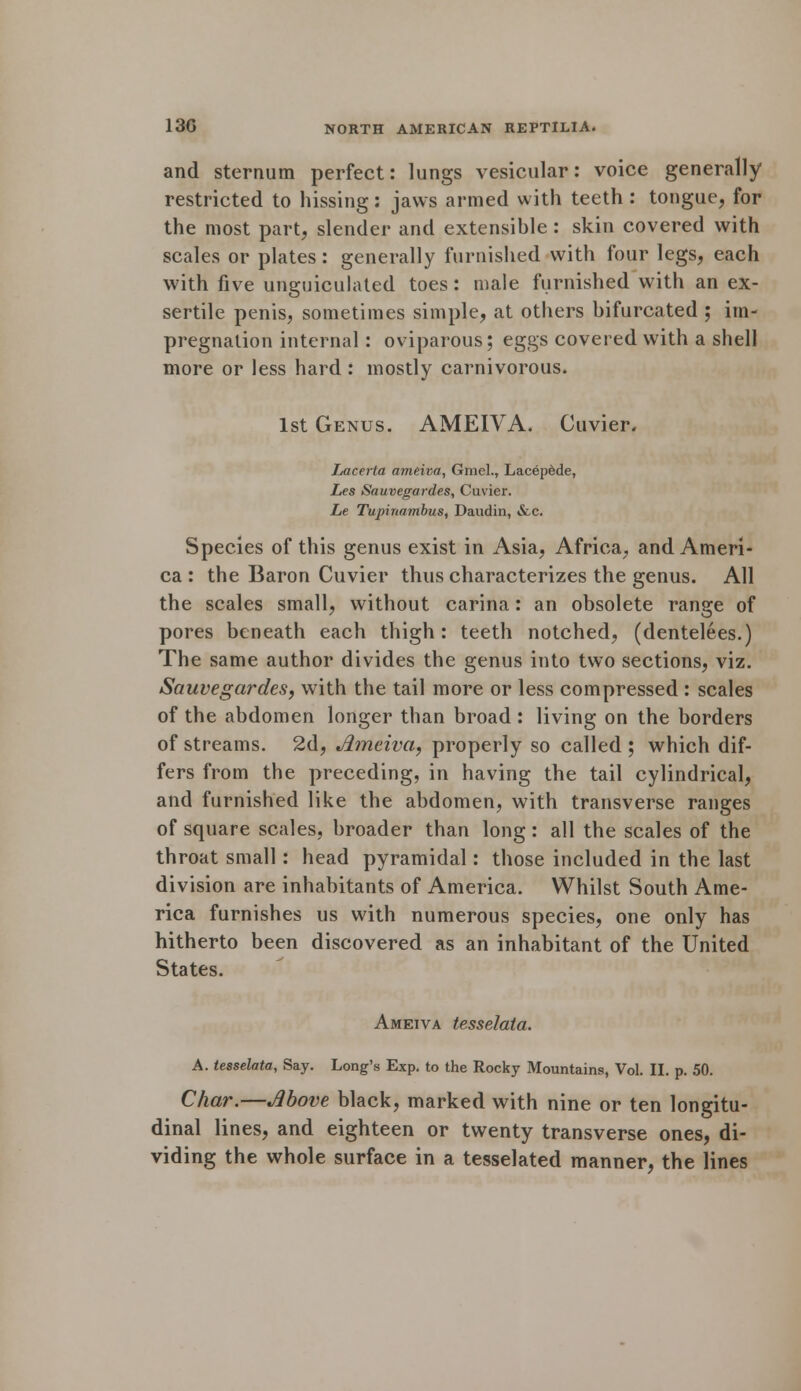and sternum perfect: lungs vesicular: voice generally restricted to hissing: jaws armed with teeth : tongue, for the most part, slender and extensible : skin covered with scales or plates: generally furnished with four legs, each with five unguiculated toes: male furnished with an ex- sertile penis, sometimes simple, at others bifurcated ; im- pregnation internal: oviparous; eggs covered with a shell more or less hard : mostly carnivorous. 1st Genus. AMEIVA. Cuvier, Lacerta ameiva, Gmcl., Lacepede, Les Sauvegardes, Cuvier. Le Tupirmmbus, Daudin, &c. Species of this genus exist in Asia, Africa, and Ameri- ca : the Baron Cuvier thus characterizes the genus. All the scales small, without carina: an obsolete range of pores beneath each thigh: teeth notched, (dentelees.) The same author divides the genus into two sections, viz. Sauvegardes, with the tail more or less compressed : scales of the abdomen longer than broad : living on the borders of streams. 2d, Ameiva, properly so called; which dif- fers from the preceding, in having the tail cylindrical, and furnished like the abdomen, with transverse ranges of square scales, broader than long: all the scales of the throat small: head pyramidal: those included in the last division are inhabitants of America. Whilst South Ame- rica furnishes us with numerous species, one only has hitherto been discovered as an inhabitant of the United States. Ameiva tesselata. A. tesselata, Say. Long's Exp. to the Rocky Mountains, Vol. II. p. 50. Char.—Above black, marked with nine or ten longitu- dinal lines, and eighteen or twenty transverse ones, di- viding the whole surface in a tesselated manner, the lines