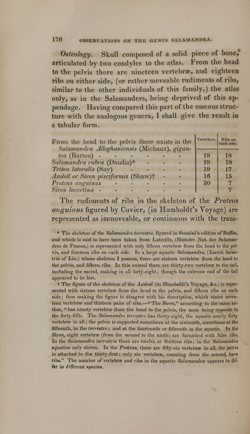 Vertebrae. Ribs on each side. 19 18 19 18 19 17 16 15 30 7 7 170 OBSERVATIONS ON THE GENUS SALAMANDRA. Osteology. Skull composed of a solid piece of bone,* articulated by two condyles to the atlas. From the head to the pelvis there are nineteen vertebrae, and eighteen ribs on either side, (or rather moveable rudiments of ribs, similar to the other individuals of this family,) the atlas only, as in the Salamanders, being deprived of this ap- pendage. Having compared this part of the osseous struc- ture with the analogous genera, I shall give the result in a tabular form. From the head to the pelvis there exists in the Salamandra Jllleghaniensis (Michaux), gigan- tea (Barton) ------ Salamandra rubra (Daudin)* Triton lateralis (Say) - Axolotl or Siren pisciformis (Shaw)f Proteus anguinus ----- Siren lacertina ------ The rudiments of ribs in the skeleton of the Proteus anguinus figured by Cuvier, (in Humboldt's Voyage) are represented as immoveable, or continuous with the trans- * The skeleton of the Salamandre terrestre, figured in Sonnini's edition of Buffbn, and which is said to have been taken from Latreille, (Histoire Nat. des Salaman- dres de France,) is represented with only fifteen vertebrae from the head to the pel- vis, and fourteen ribs on each side. In a large aquatic Salamandra, (Lacert. lacus- tris of Lin.) whose skeleton I possess, there are sixteen vertebrae from the head to the pelvis, and fifteen ribs. In this animal there are thirty-two vertebrae to the tail, including the sacral, making in all forty-eight; though the extreme end of the tail appeared to be lost. t The figure of the skeleton of the Axolotl (in Humboldt's Voyage, &c.) is repre- sented with sixteen vertebrae from the head to the pelvis, and fifteen ribs on each side; thus making the figure to disagree with his description, which states seven- teen vertebrae and thirteen pairs of ribs.—The Siren according to the same au- thor,  has ninety vertebras from the head to the pelvis, the anus being opposite to the forty-fifth. The Salamandre terrestre has thirty-eight, the aquatic nearly forty vertebrae in all; the pelvis is supported sometimes at the sixteenth, sometimes at the fifteenth, in the terrestre ; and at the fourteenth or fifteenth in the aquatic. In the Siren, eight vertebrae (from the second to the ninth) are furnished with false ribs. In the Salamandra terrestris there are twelve or thirteen ribs; in the Salamandra aquatica only eleven. In the Proteus, there are fifty-six vertebrae in all, the pelvis is attached to the thirty-first; only six vertebrae, counting from the second, have ribs. The number of vertebrae and ribs in the aquatic Salamandra appears to dif- fer in different species.