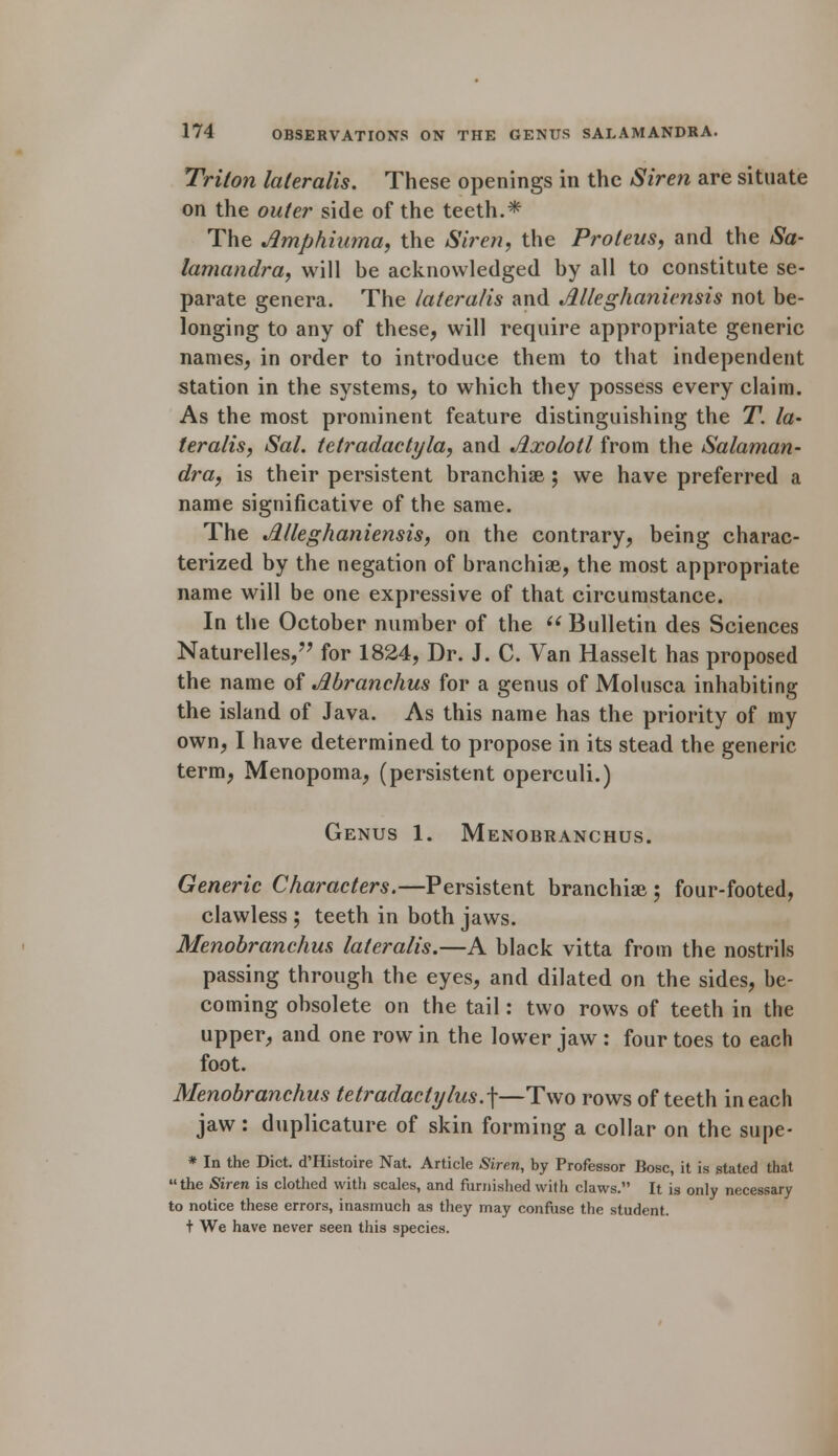 Triton lateralis. These openings in the Siren are situate on the outer side of the teeth.* The Amphiuma, the Siren, the Proteus, and the Sa- lamandra, will be acknowledged by all to constitute se- parate genera. The lateralis and JLlleghaniensis not be- longing to any of these, will require appropriate generic names, in order to introduce them to that independent station in the systems, to which they possess every claim. As the most prominent feature distinguishing the T. la> teralis, Sal. tetradactyla, and Axolotl from the Salaman- dra, is their persistent branchiae ; we have preferred a name significative of the same. The Alleghaniensis, on the contrary, being charac- terized by the negation of branchiae, the most appropriate name will be one expressive of that circumstance. In the October number of the  Bulletin des Sciences Naturelles, for 1824, Dr. J. C. Van Hasselt has proposed the name of Abranchus for a genus of Molusca inhabiting the island of Java. As this name has the priority of my own, I have determined to propose in its stead the generic term, Menopoma, (persistent operculi.) Genus 1. Menobranchus. Generic Characters.—Persistent branchiae ; four-footed, clawless ; teeth in both jaws. Menobranchus lateralis.—A black vitta from the nostrils passing through the eyes, and dilated on the sides, be- coming obsolete on the tail: two rows of teeth in the upper, and one row in the lower jaw : four toes to each foot. Menobranchus tetradactylus.\—Two rows of teeth in each jaw: duplicature of skin forming a collar on the supe- * In the Diet. d'Histoire Nat. Article Siren, by Professor Bosc, it is stated that the Siren is clothed with scales, and furnished with claws. It is only necessary to notice these errors, inasmuch as they may confuse the student. t We have never seen this species.