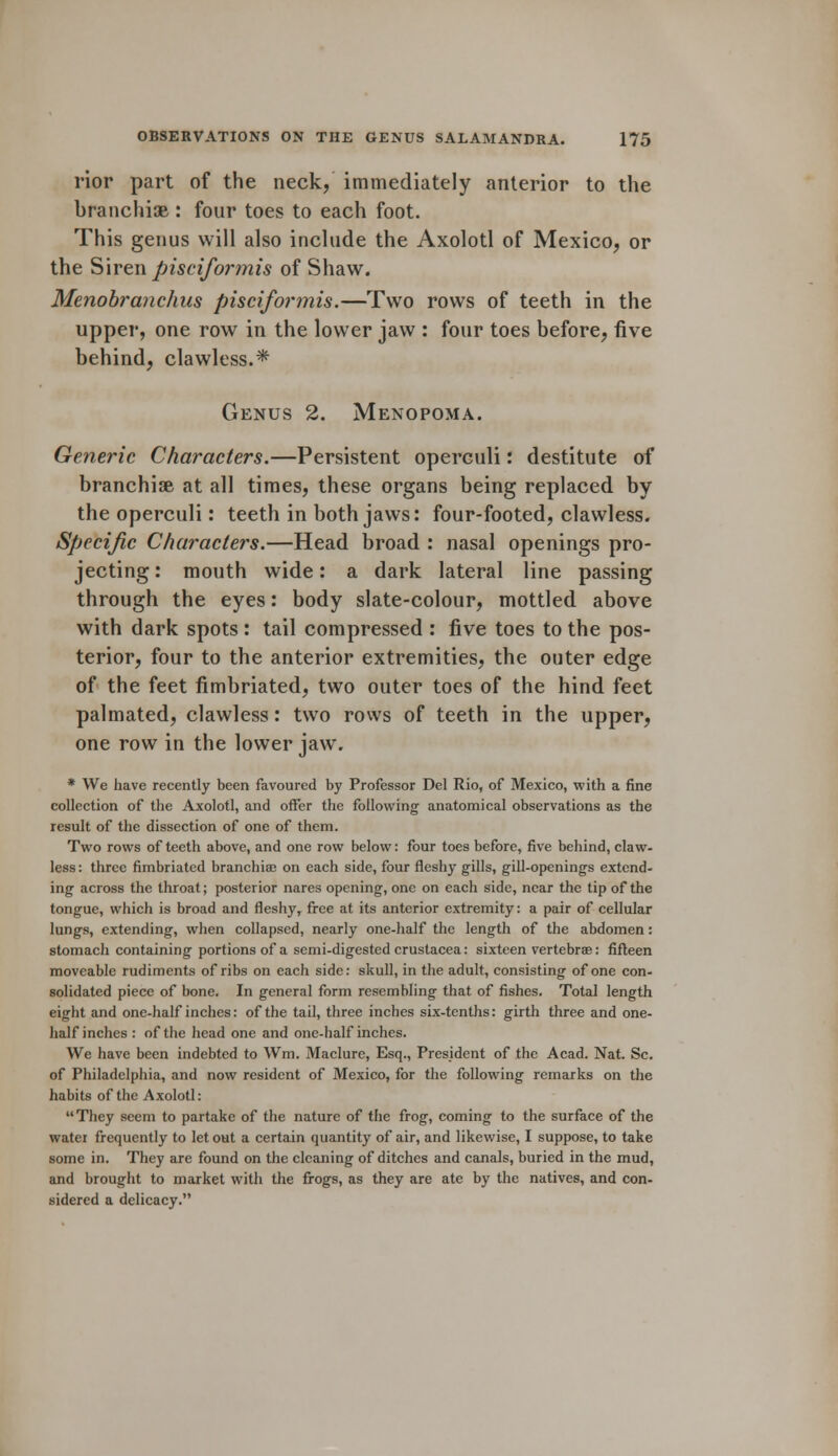 rior part of the neck, immediately anterior to the branchiae : four toes to each foot. This genus will also include the Axolotl of Mexico, or the Siren pisciformis of Shaw. Menobranchus pisciformis.—Two rows of teeth in the upper, one row in the lower jaw : four toes before, five behind, clawless.* Genus 2. Menopoma. Generic Characters.—Persistent operculi: destitute of branchiae at all times, these organs being replaced by the operculi: teeth in both jaws: four-footed, clawless. Specific Characters.—Head broad : nasal openings pro- jecting : mouth wide: a dark lateral line passing through the eyes: body slate-colour, mottled above with dark spots : tail compressed : five toes to the pos- terior, four to the anterior extremities, the outer edge of the feet fimbriated, two outer toes of the hind feet palmated, clawless: two rows of teeth in the upper, one row in the lower jaw. * We have recently been favoured by Professor Del Rio, of Mexico, with a fine collection of the Axolotl, and offer the following anatomical observations as the result of the dissection of one of them. Two rows of teeth above, and one row below: four toes before, five behind, claw- less: three fimbriated branchia? on each side, four fleshy gills, gill-openings extend- ing across the throat; posterior nares opening, one on each side, near the tip of the tongue, which is broad and fleshy, free at its anterior extremity: a pair of cellular lungs, extending, when collapsed, nearly one-half the length of the abdomen: stomach containing portions of a semi-digested Crustacea: sixteen vertebrae: fifteen moveable rudiments of ribs on each side: skull, in the adult, consisting of one con- solidated piece of bone. In general form resembling that of fishes. Total length eight and one-half inches: of the tail, three inches six-tenths: girth three and one- half inches : of the head one and one-half inches. We have been indebted to Wm. Maclure, Esq., President of the Acad. Nat. Sc. of Philadelphia, and now resident of Mexico, for the following remarks on the habits of the Axolotl: They seem to partake of the nature of the frog, coming to the surface of the water frequently to let out a certain quantity of air, and likewise, I suppose, to take some in. They are found on the cleaning of ditches and canals, buried in the mud, and brought to market witli the frogs, as they are ate by the natives, and con- sidered a delicacy.